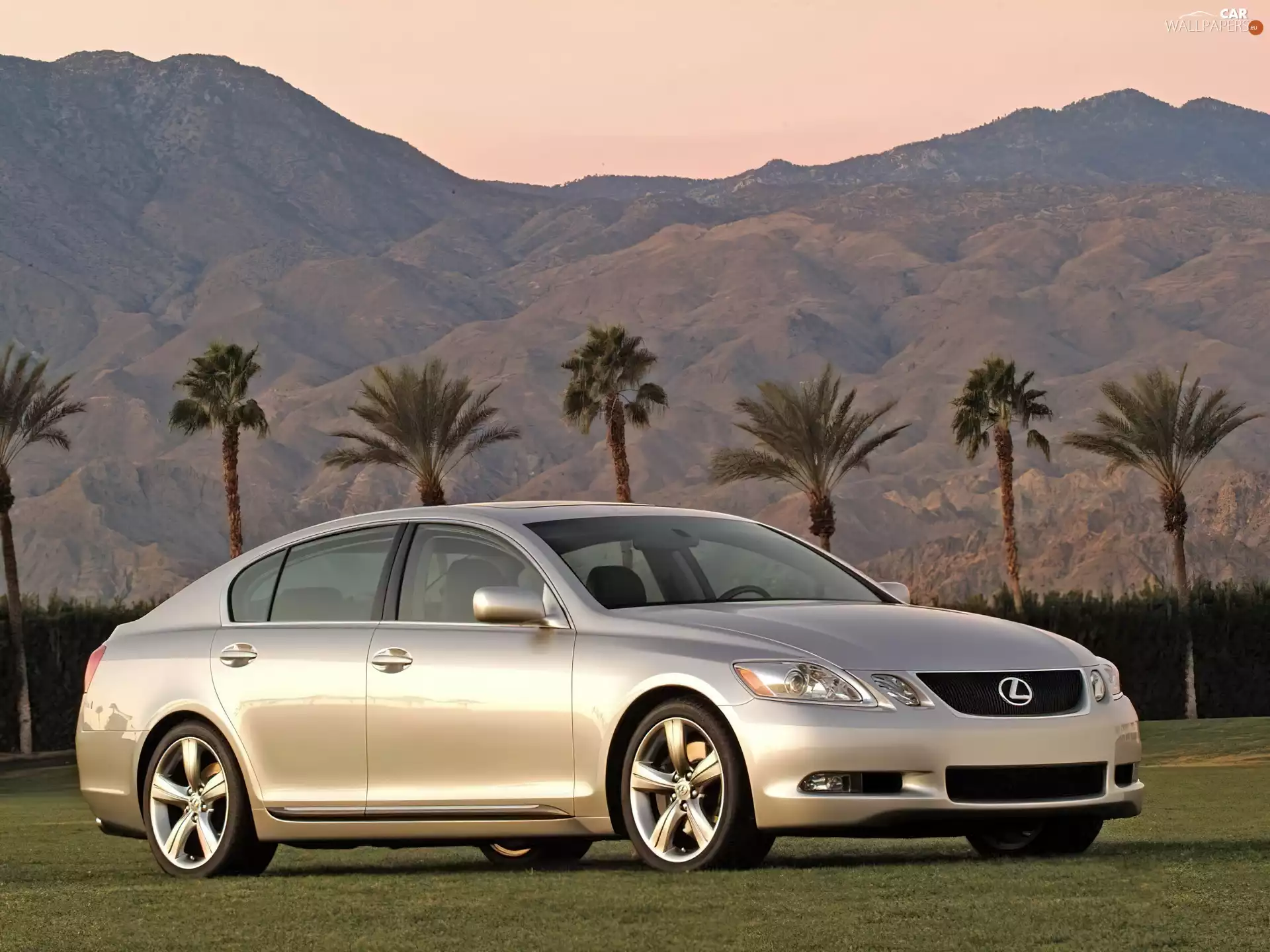 Lexus GS Series, Palms