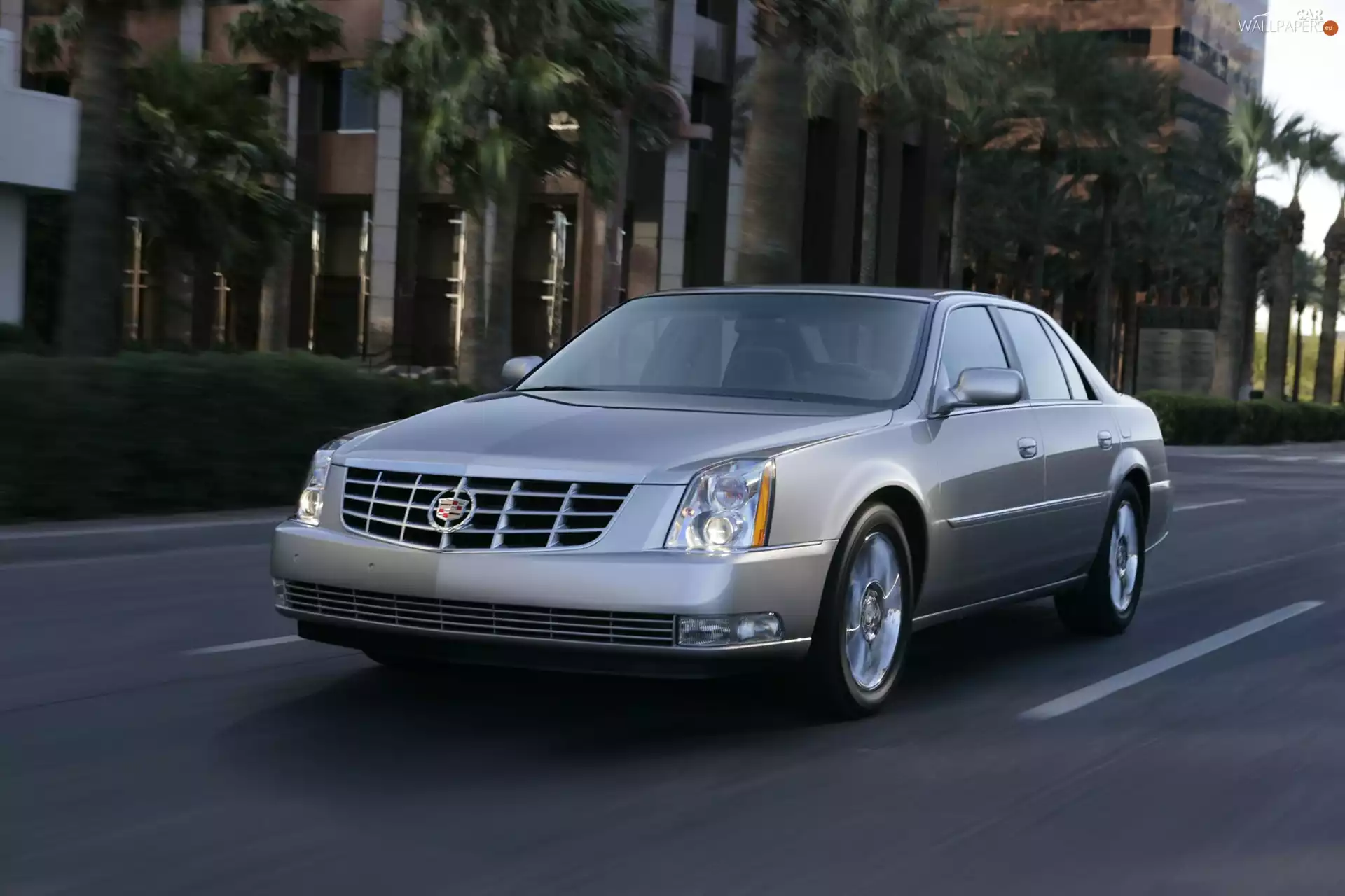 Way, Cadillac DTS, Palms