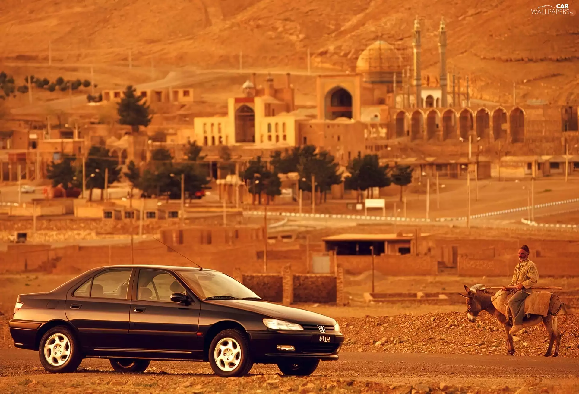 Peugeot 406, commercial
