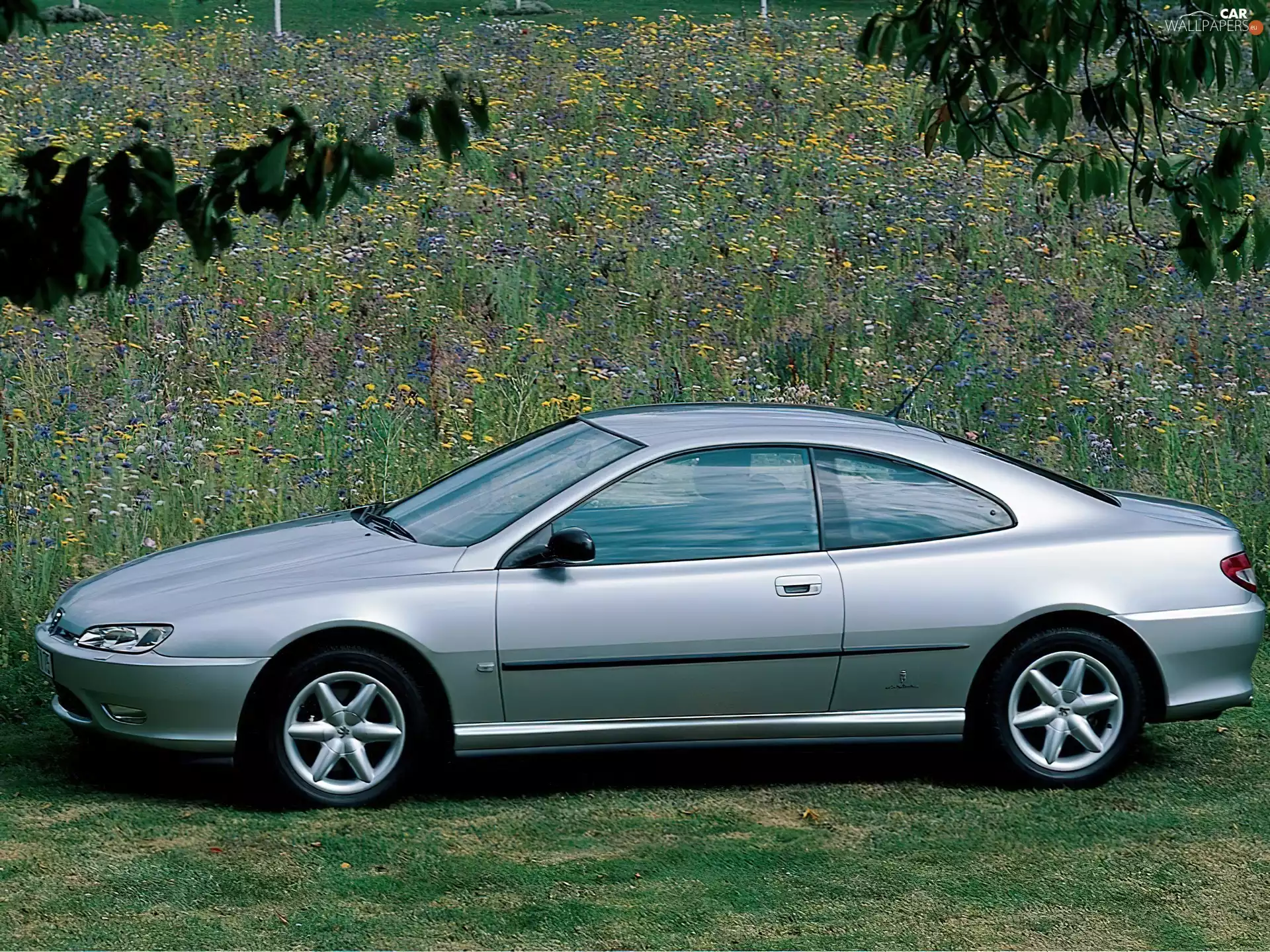 Peugeot 406, coupe
