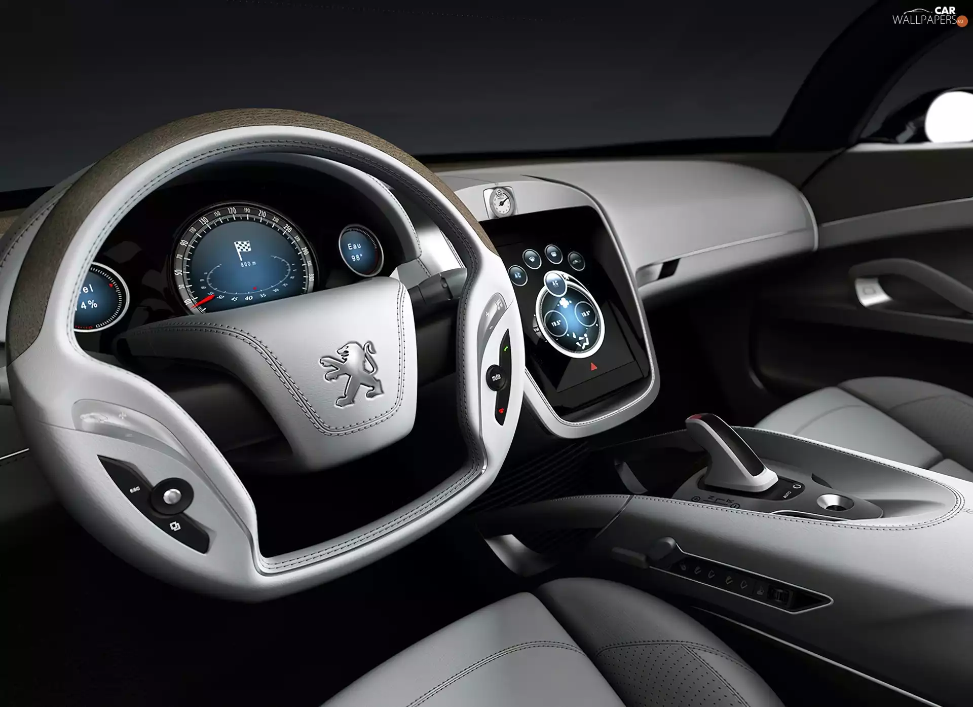 Peugeot 4002, interior