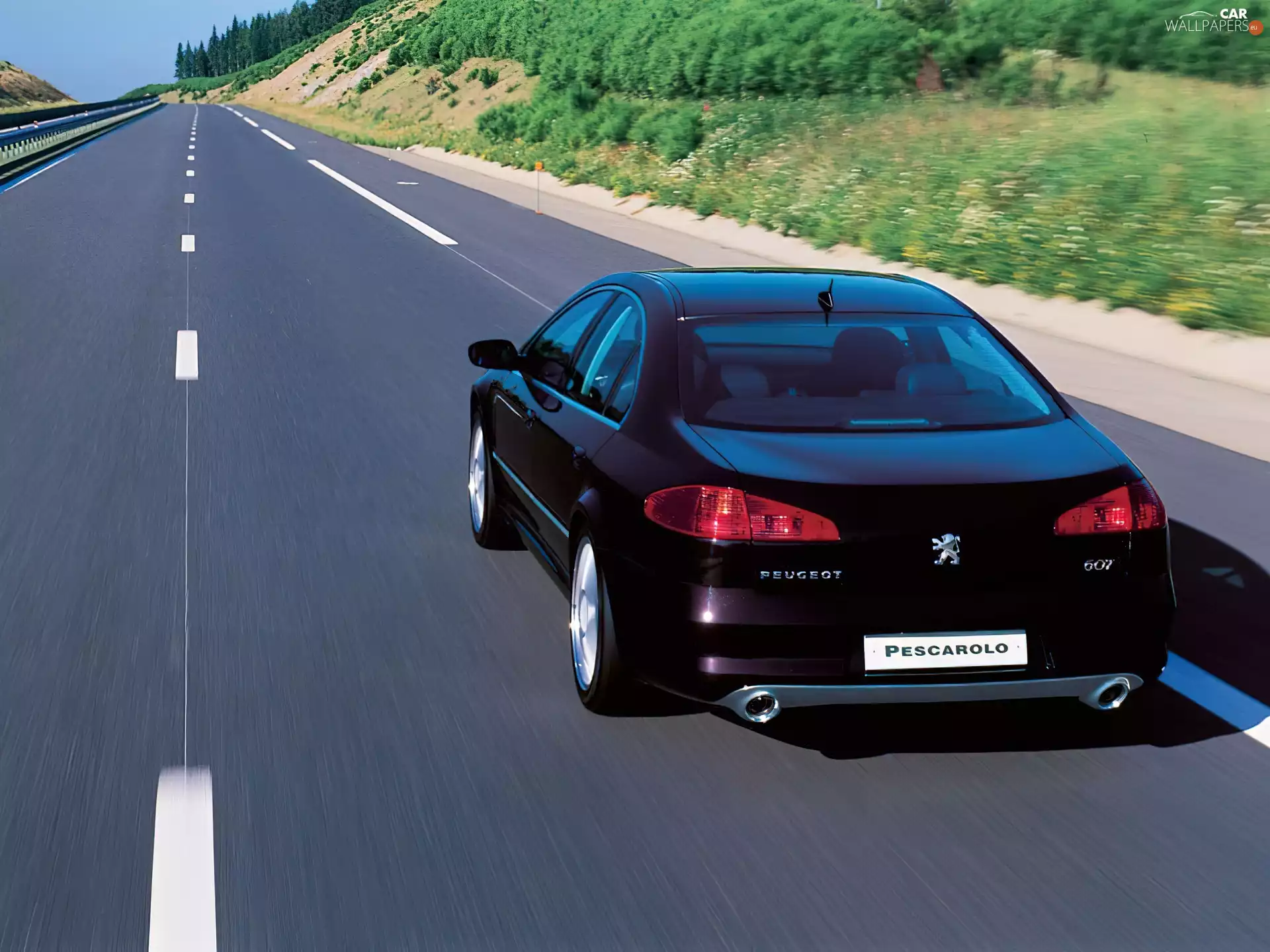 Peugeot 607, Sport