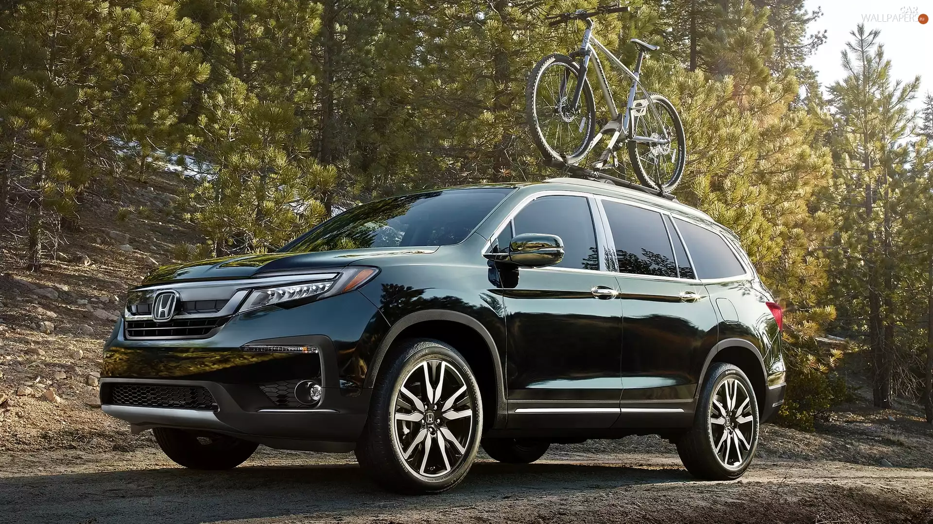 Honda Pilot, generation, Bike, Third