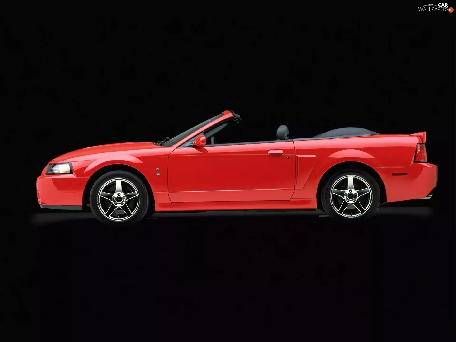 Left Profile, Ford Mustang, Cabrio