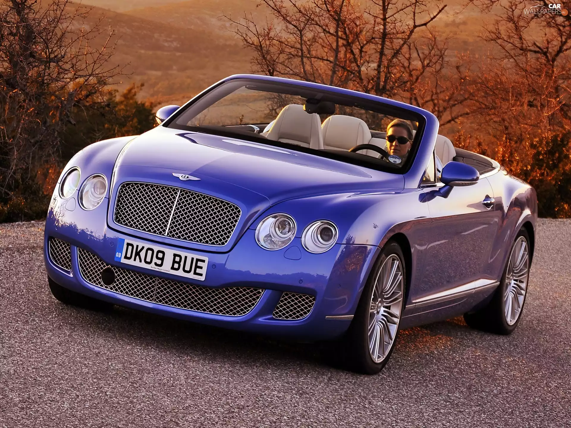 Bentley Continental GTC, proprietress