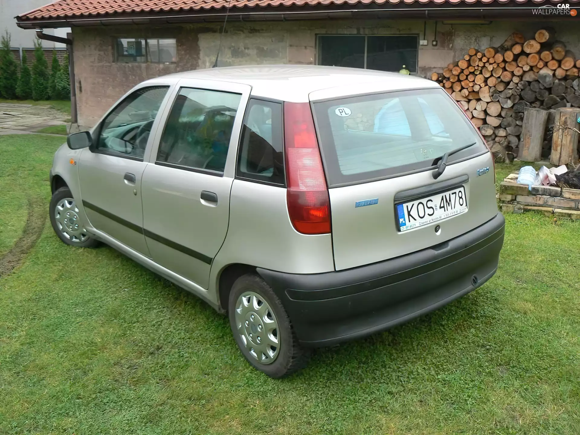 Carrier, Back, Fiat Punto