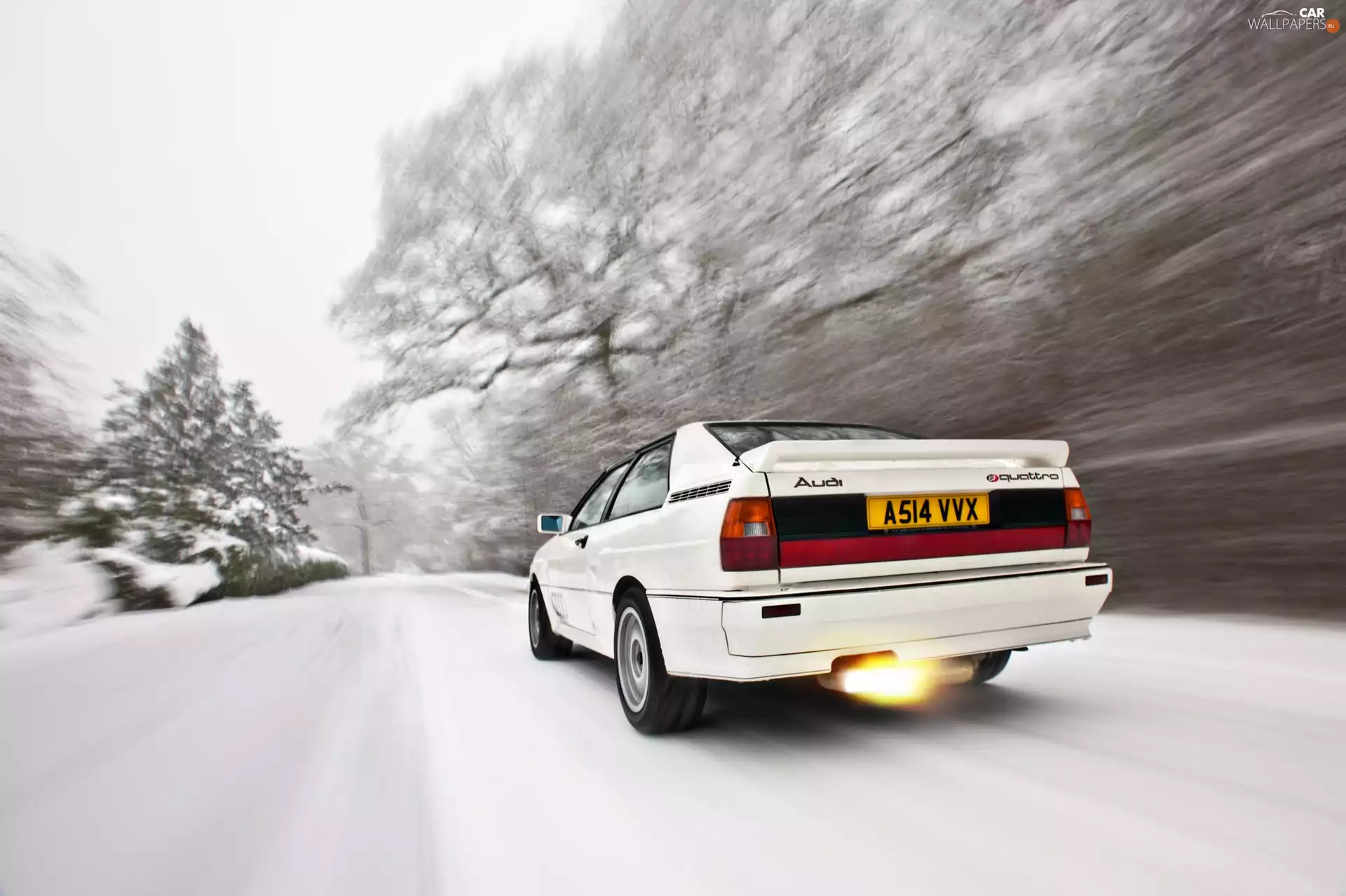Audi, White, snow, Quattro