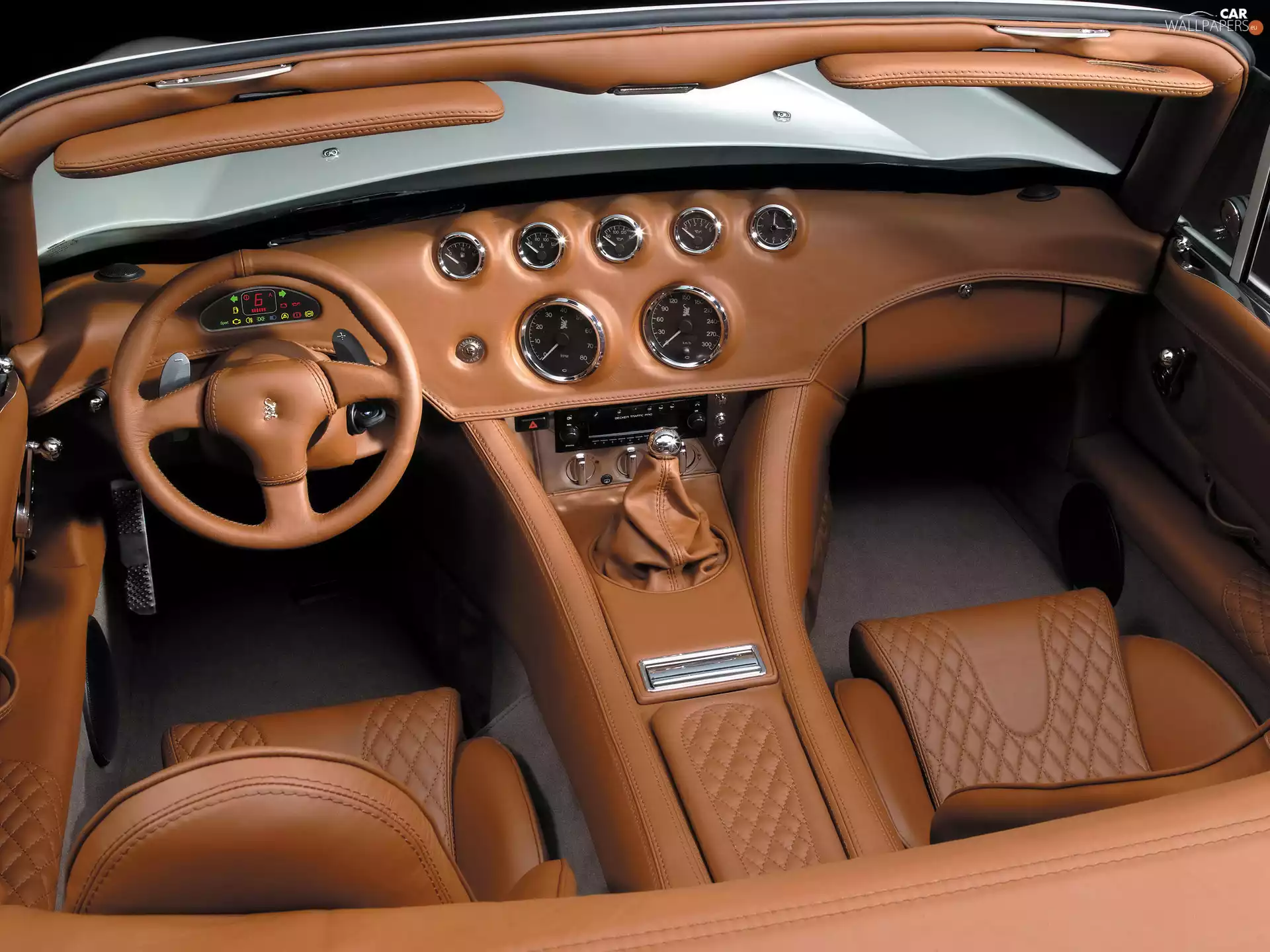 skin, Wiesmann MF3, quilted