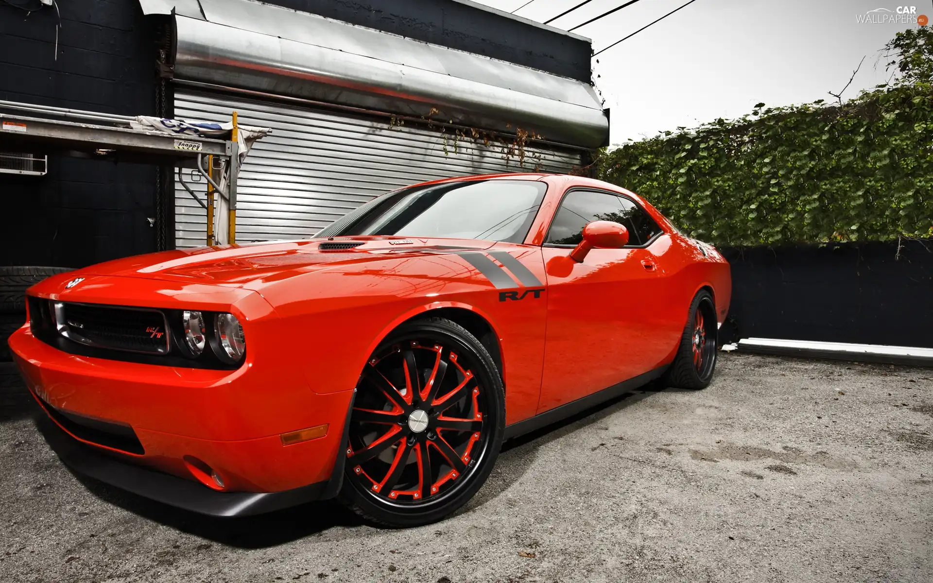 R/T, Dodge, Big, wheels, Orange, Challenger