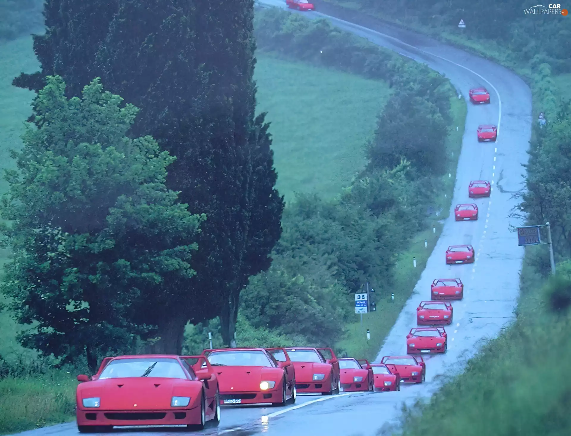 Way, rally, Ferrari F 40
