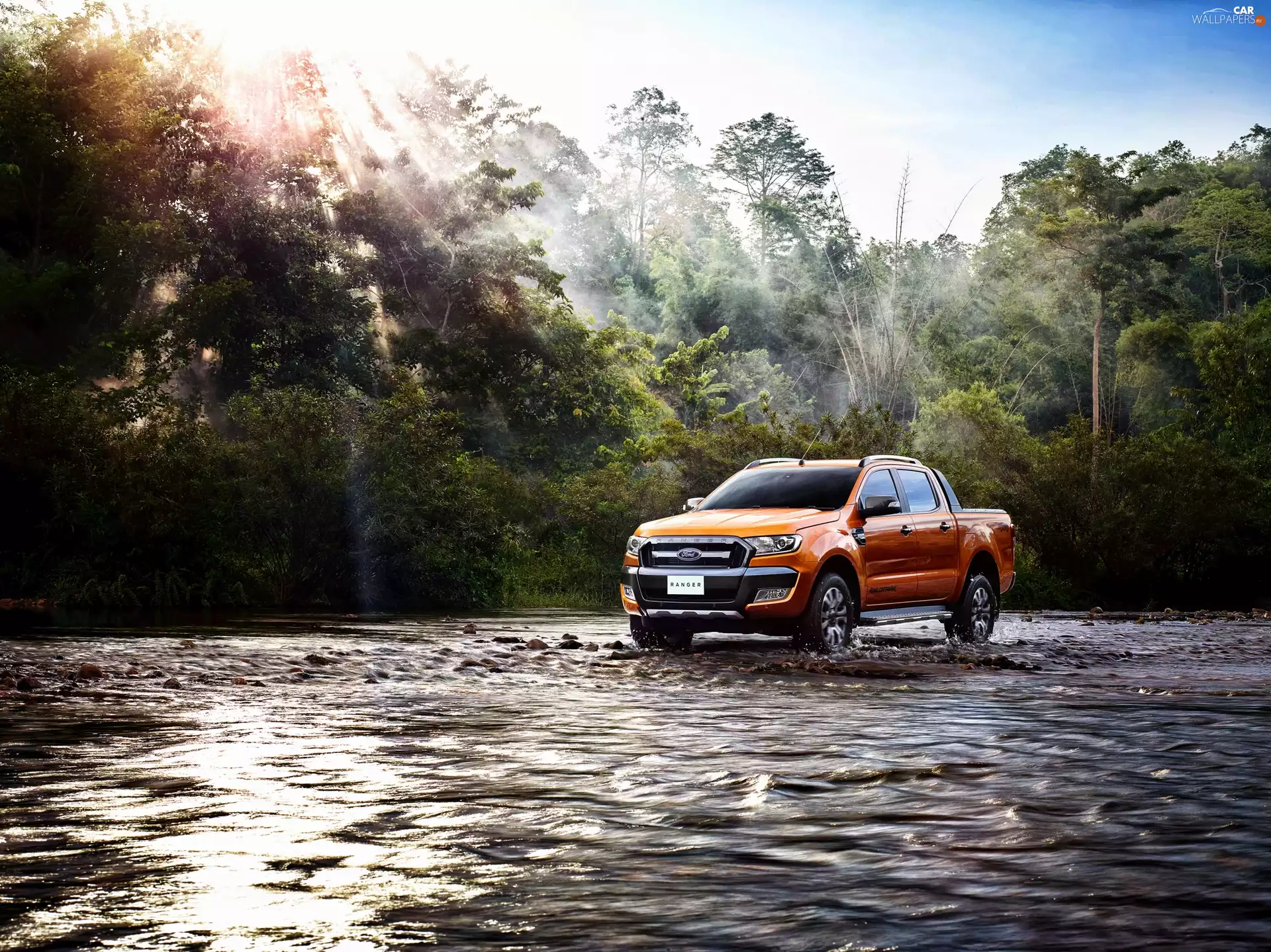 water, Ranger, Automobile, forest, Ford