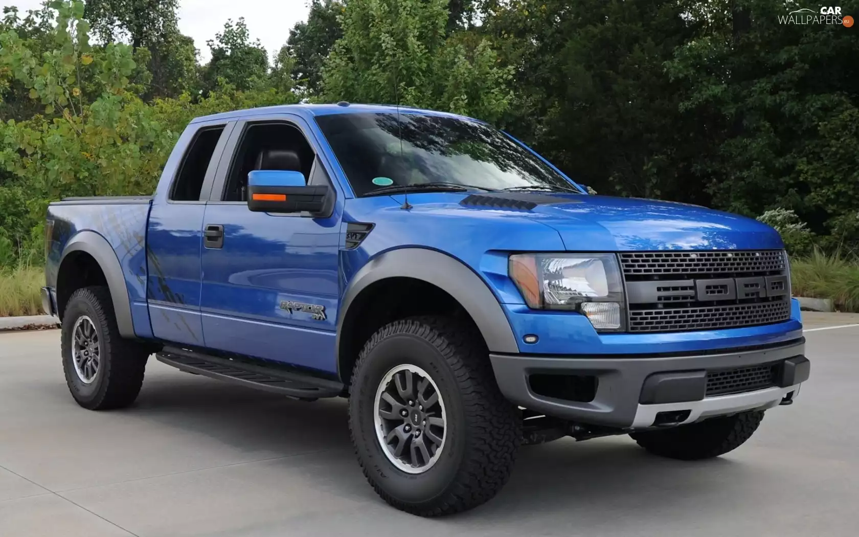 Ford, trees, viewes, Raptor