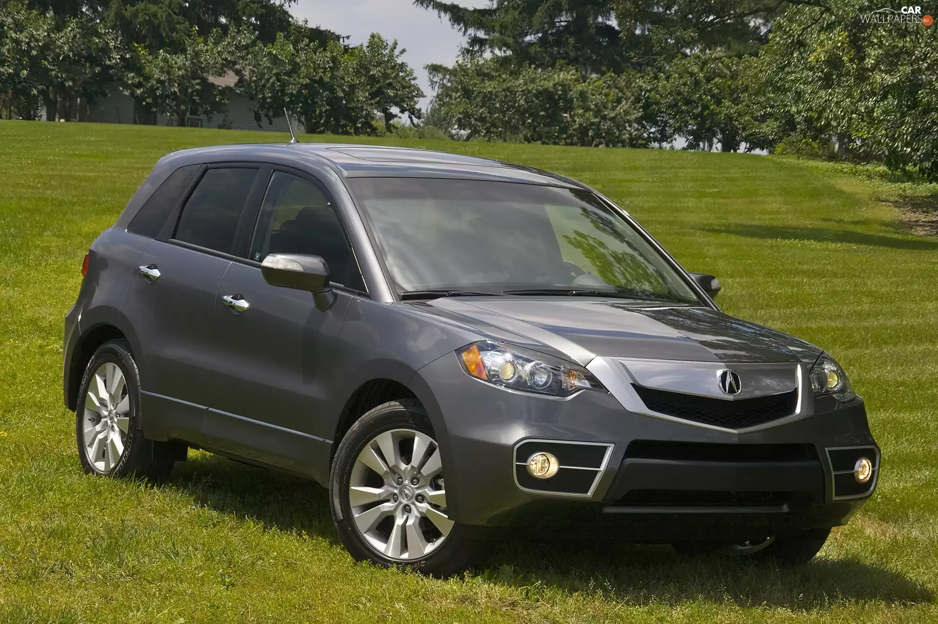 Acura RDX, dummy, chrome, Halogens