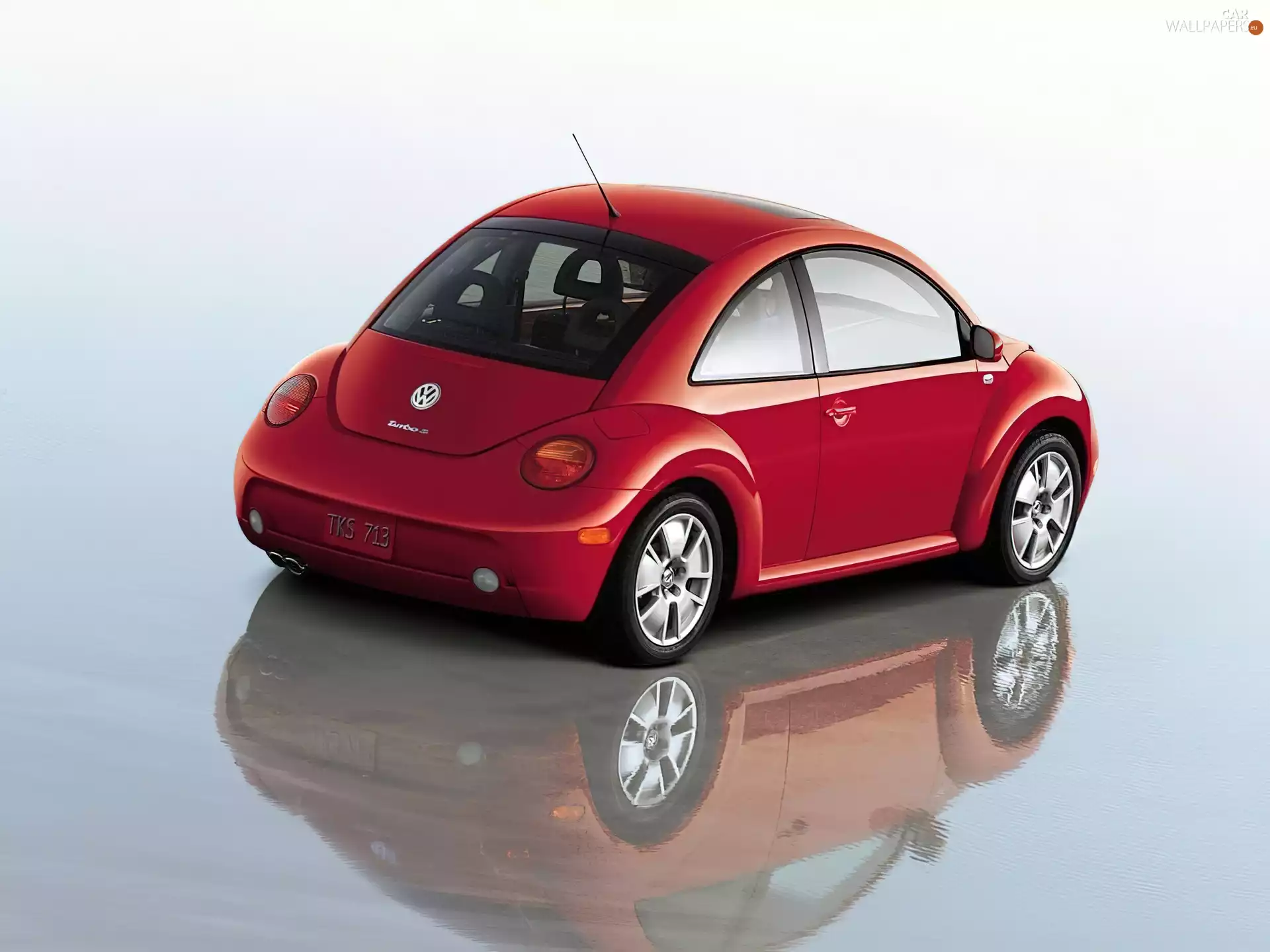 Red beetle