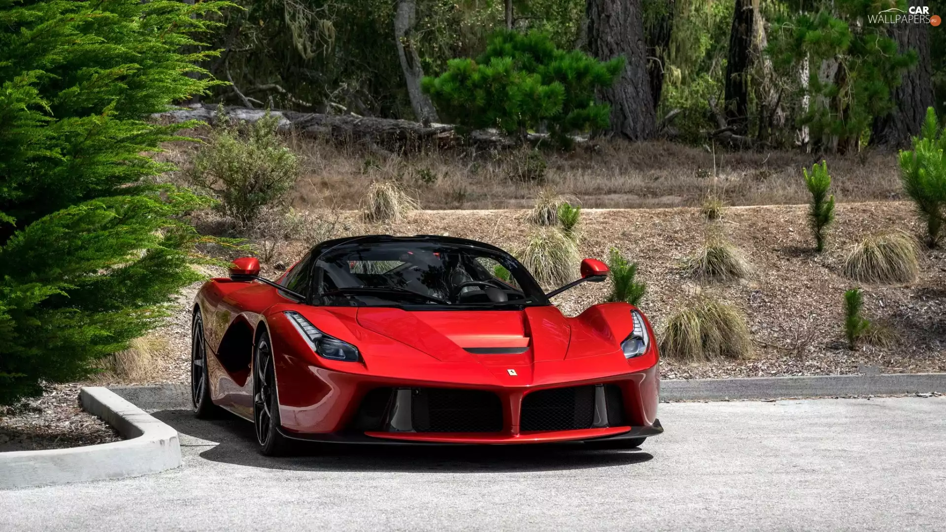 2011, Red, Ferrari LaFerrari Coupe