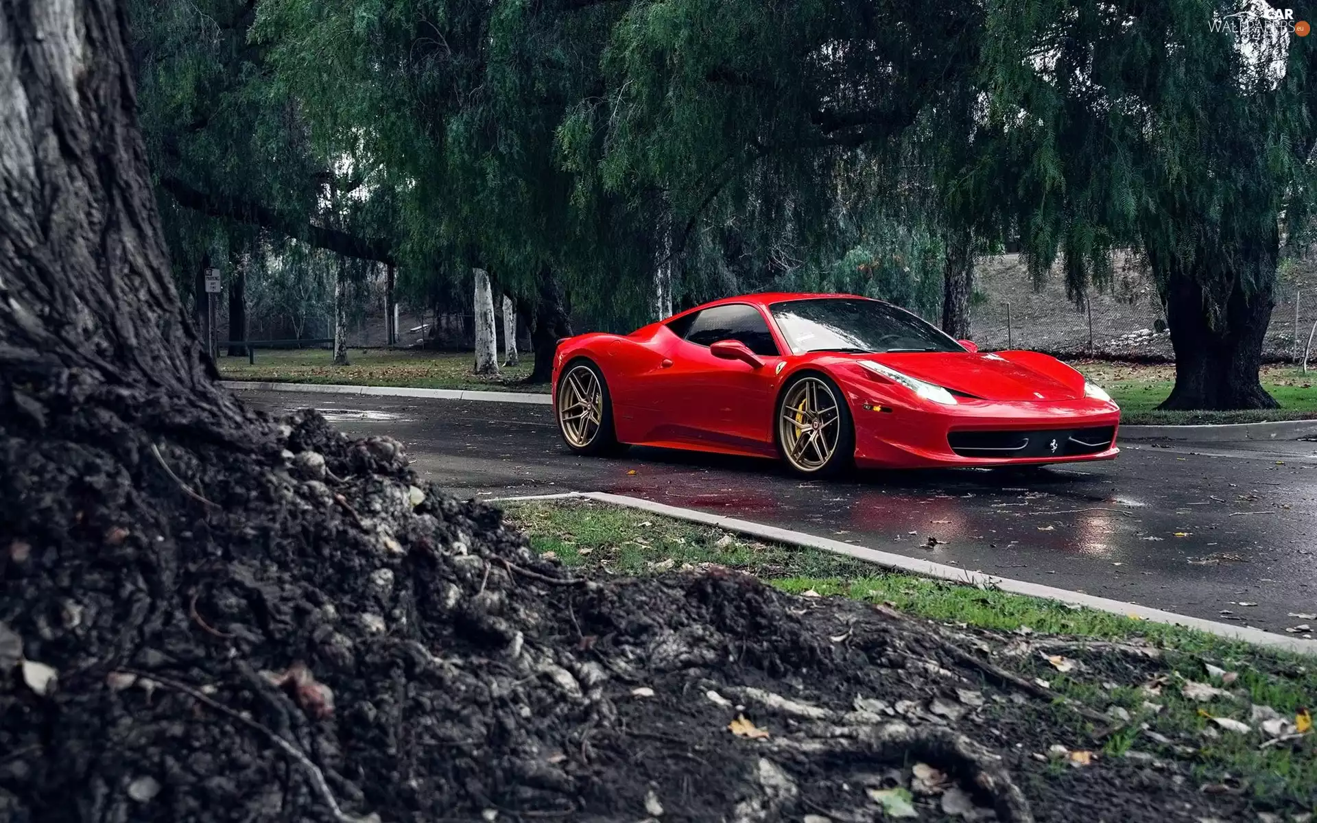 Way, Red, Ferrari 458 Italia
