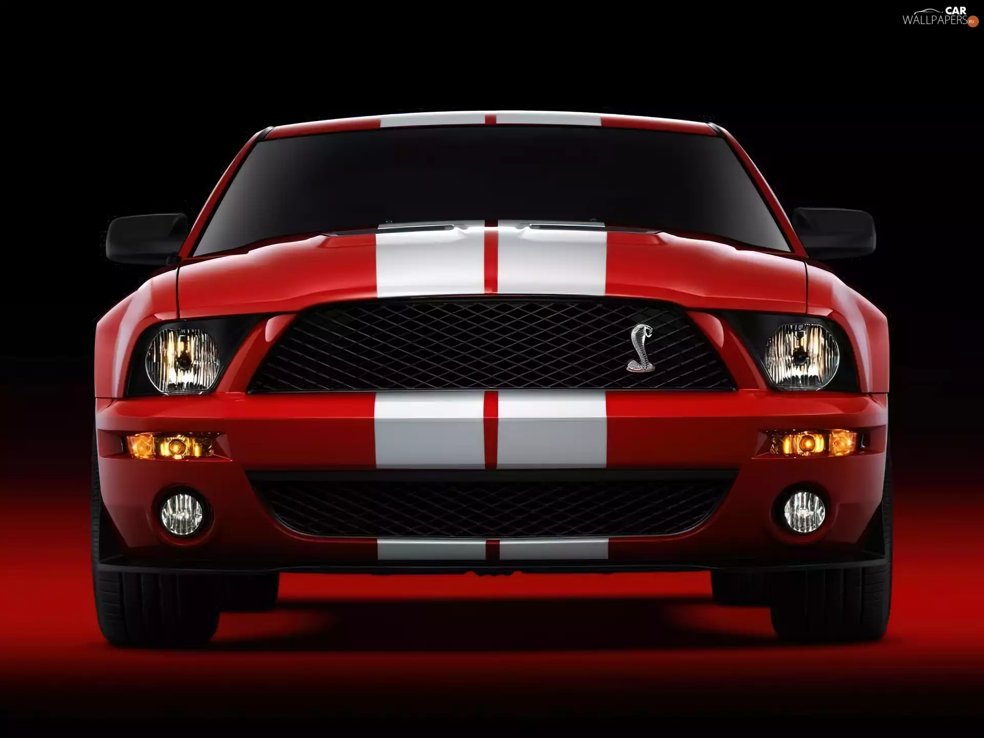 Shelby, Red, Halogens, Ford Mustang