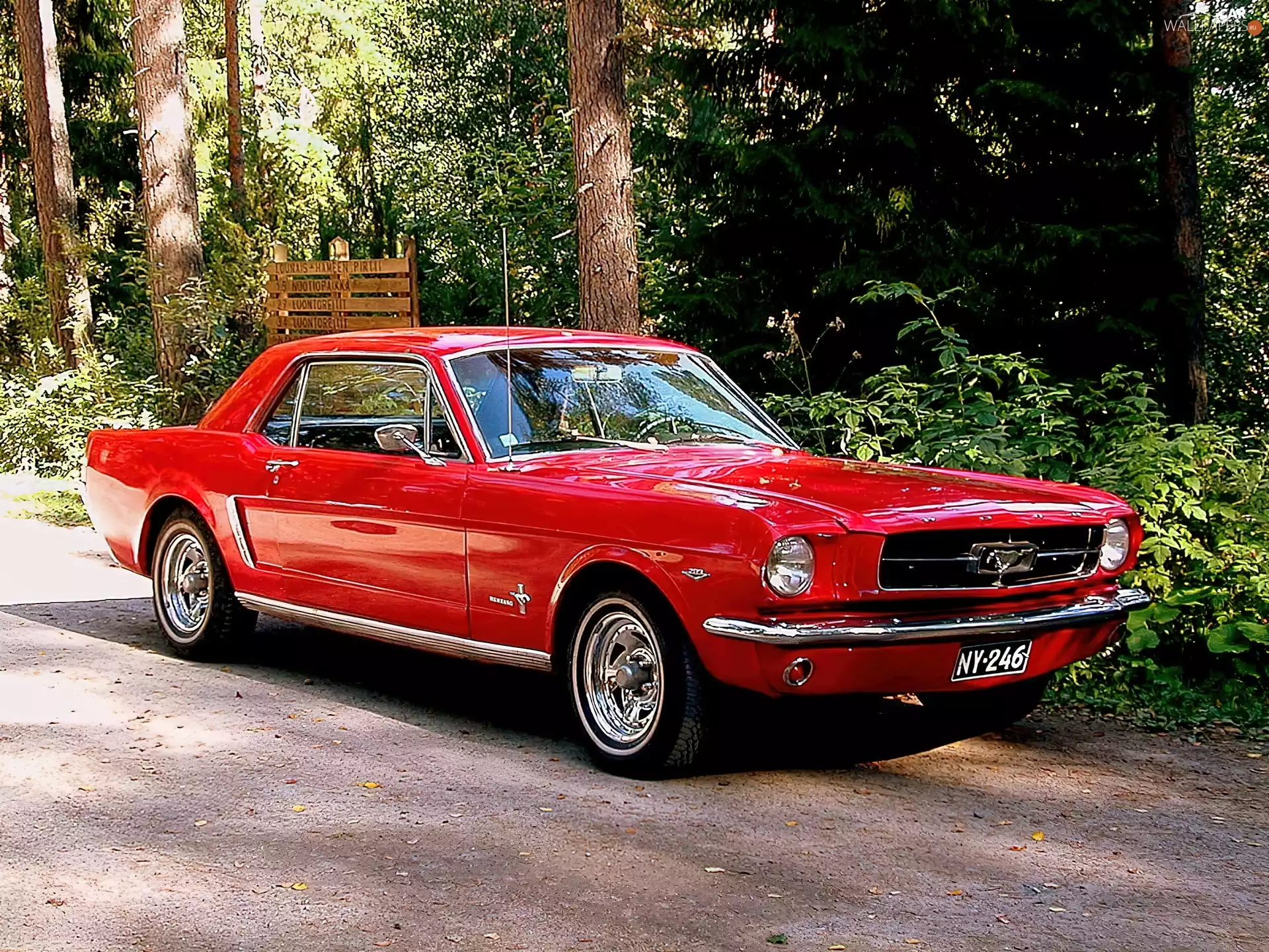 Red, Ford Mustang