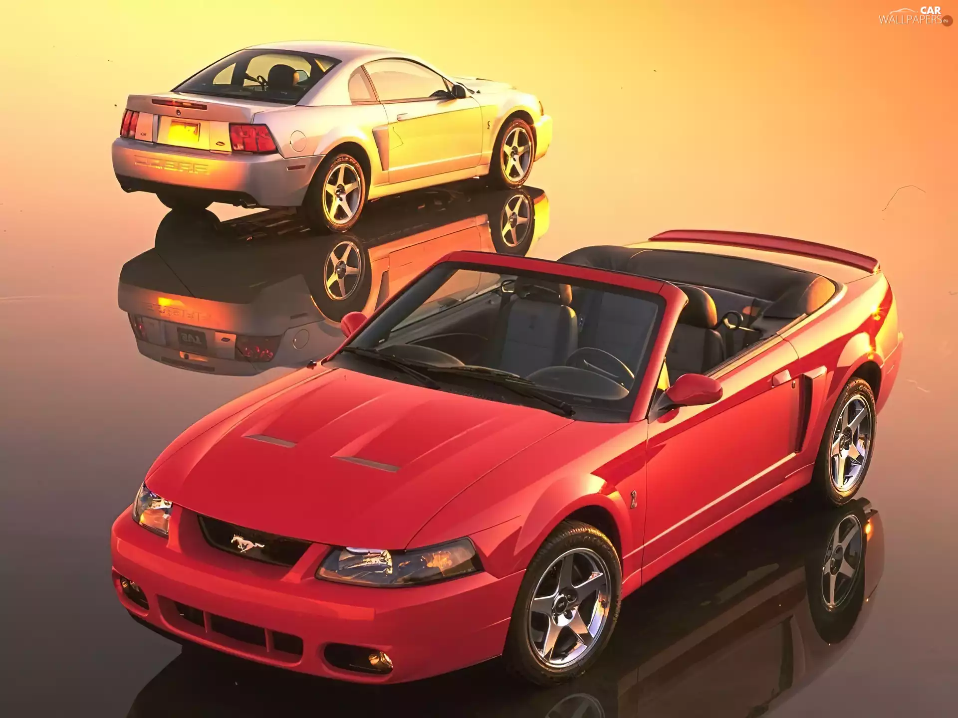 Mustang, Cabrio, silver, Red