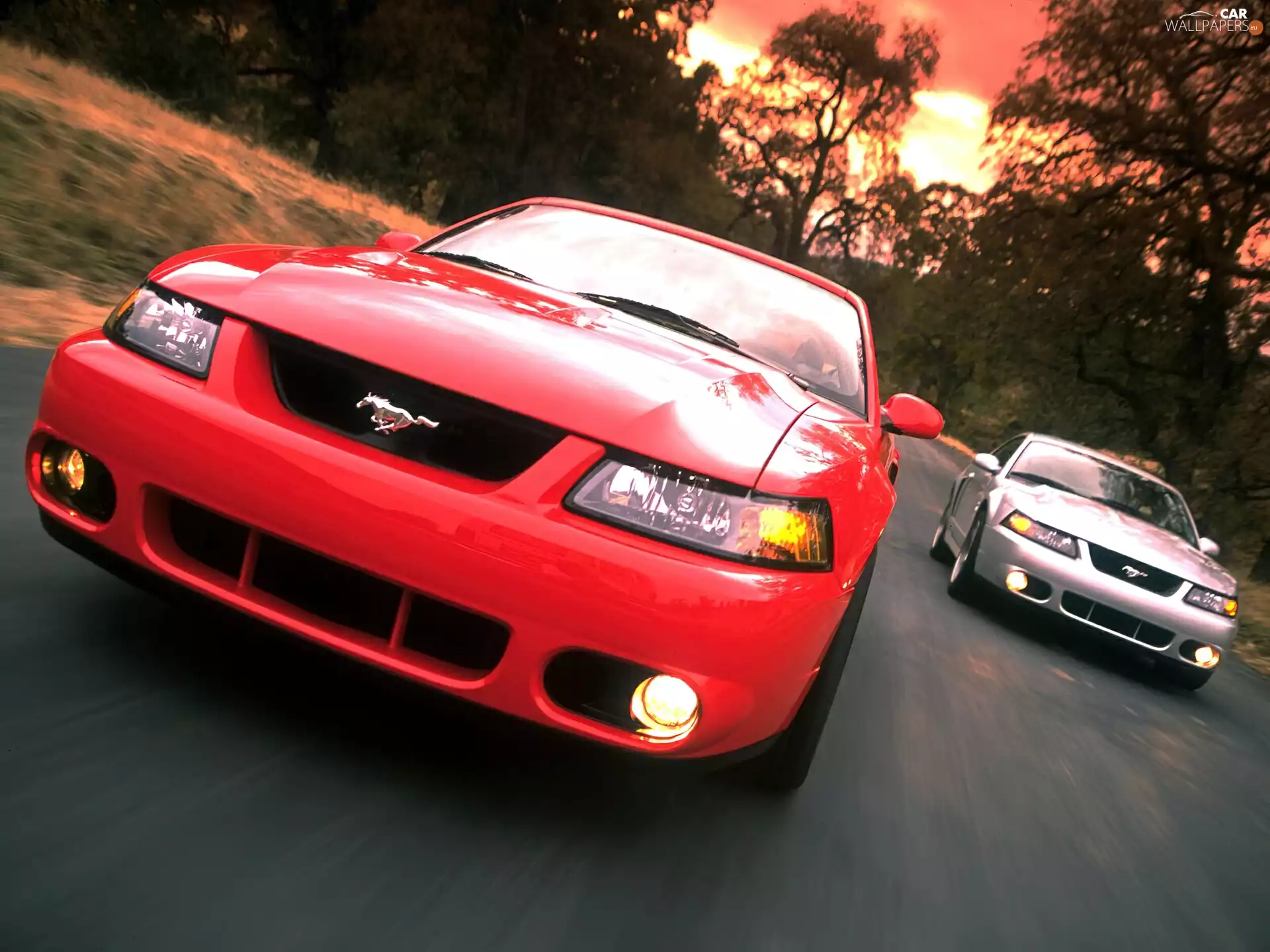 silver, Ford Mustang, Red