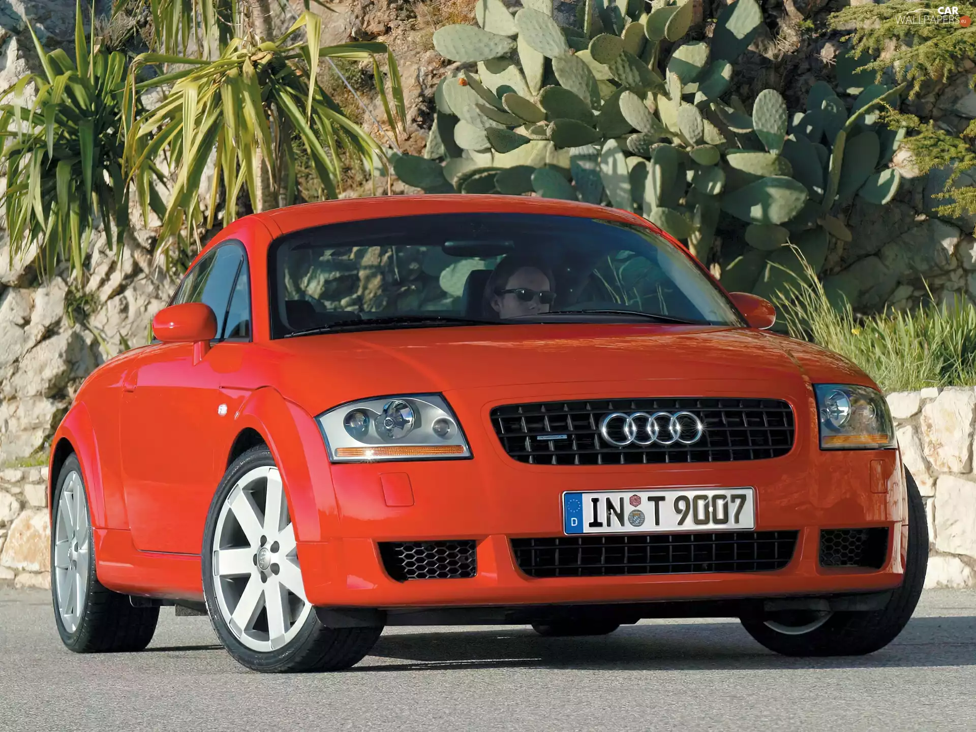 Red, Audi TT