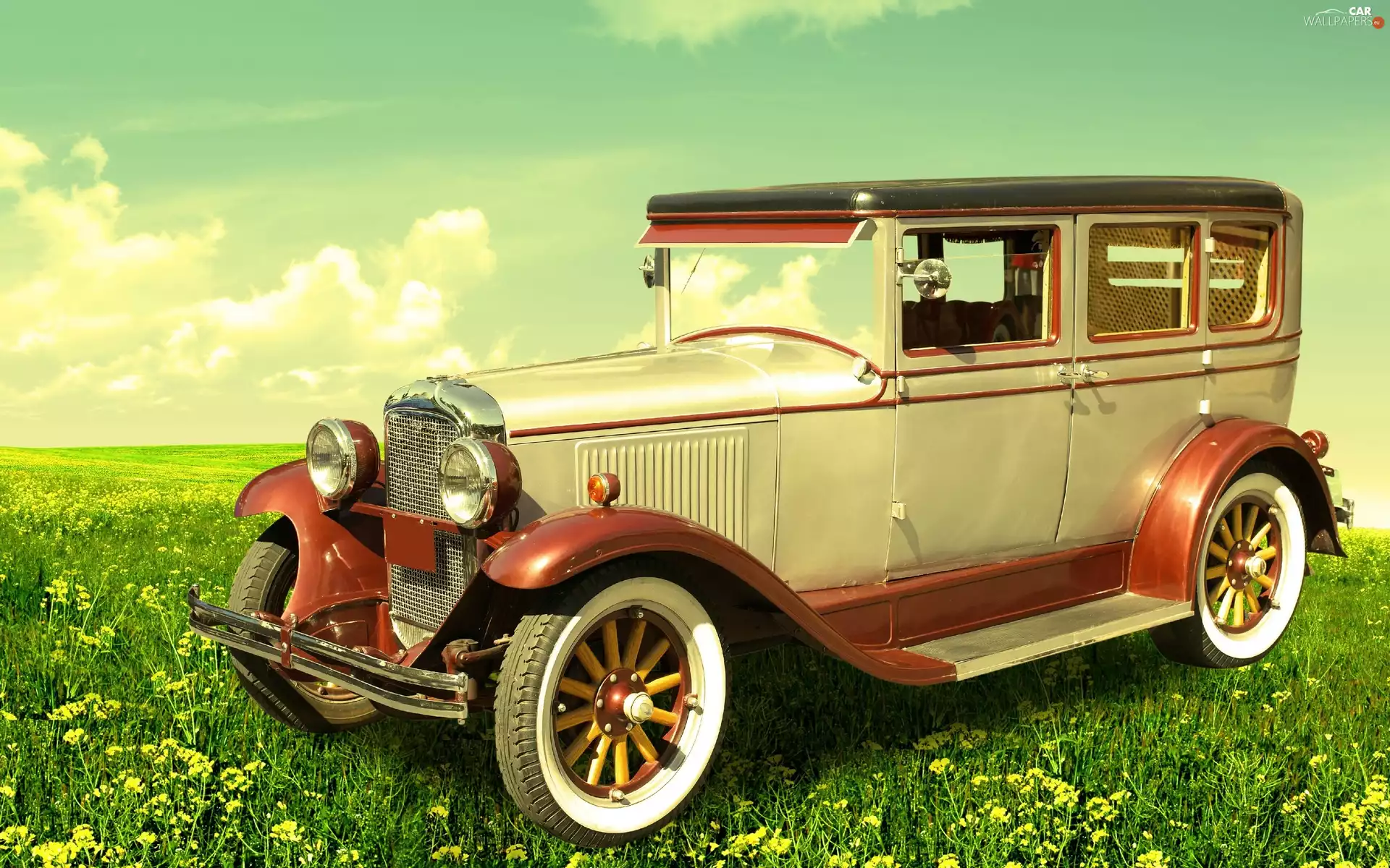 Automobile, Meadow, Flowers, Retro