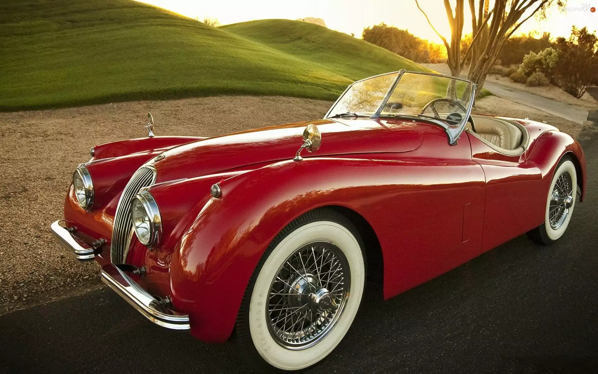 120, Roadster, Jaguar, XK, 1954