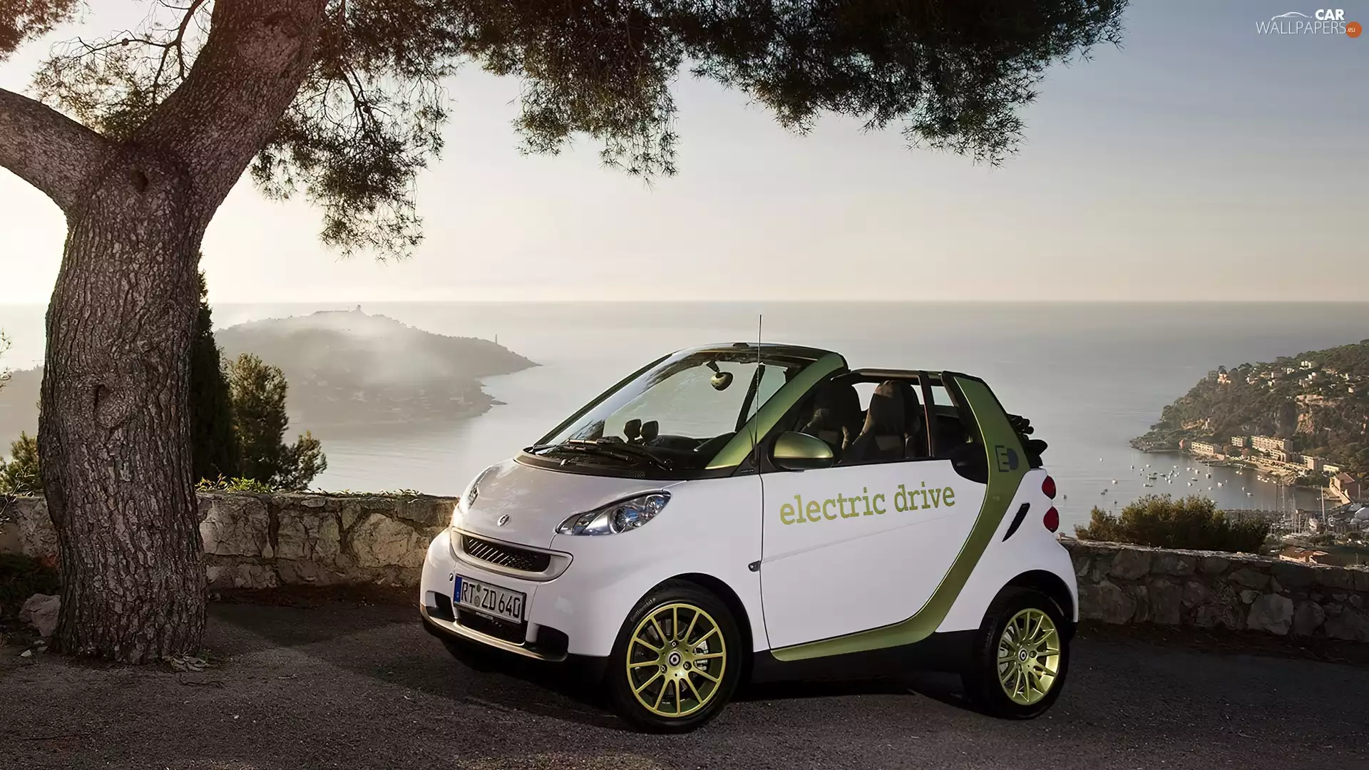Fortwo, Automobile, sea, rocks, trees, Smart