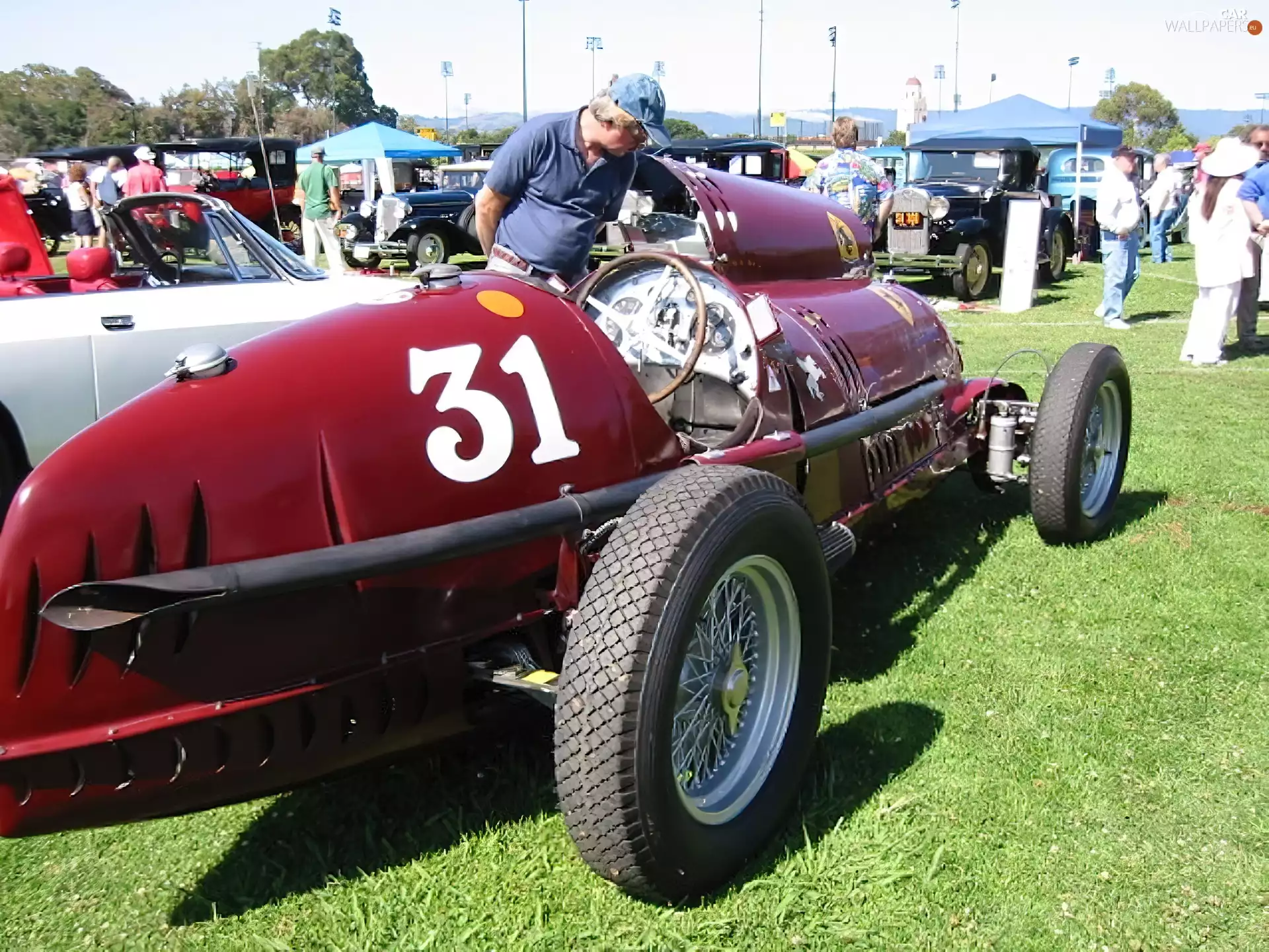 Alfa Romeo, driver, exhale, wheel
