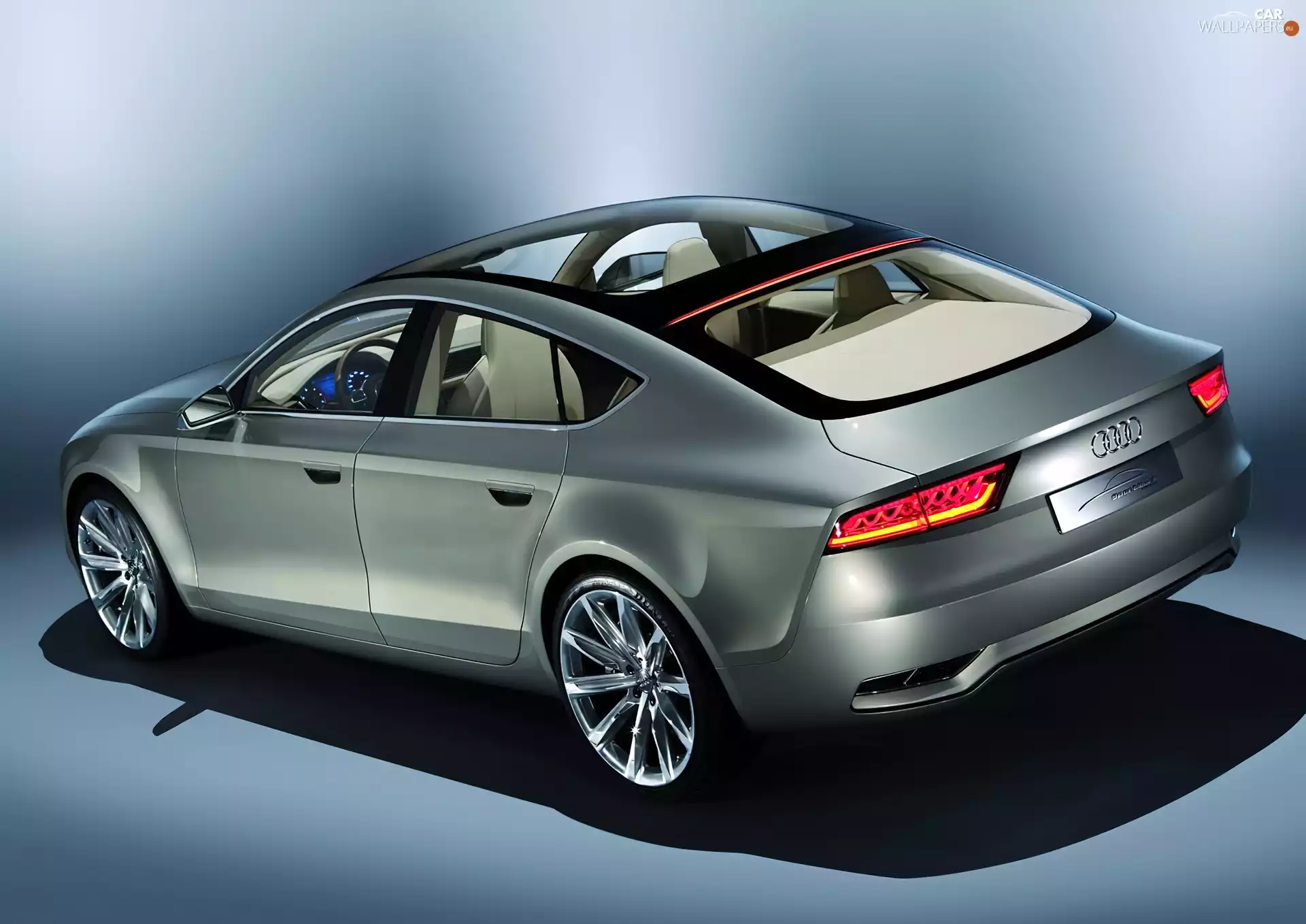 the roof, Audi A7, glass