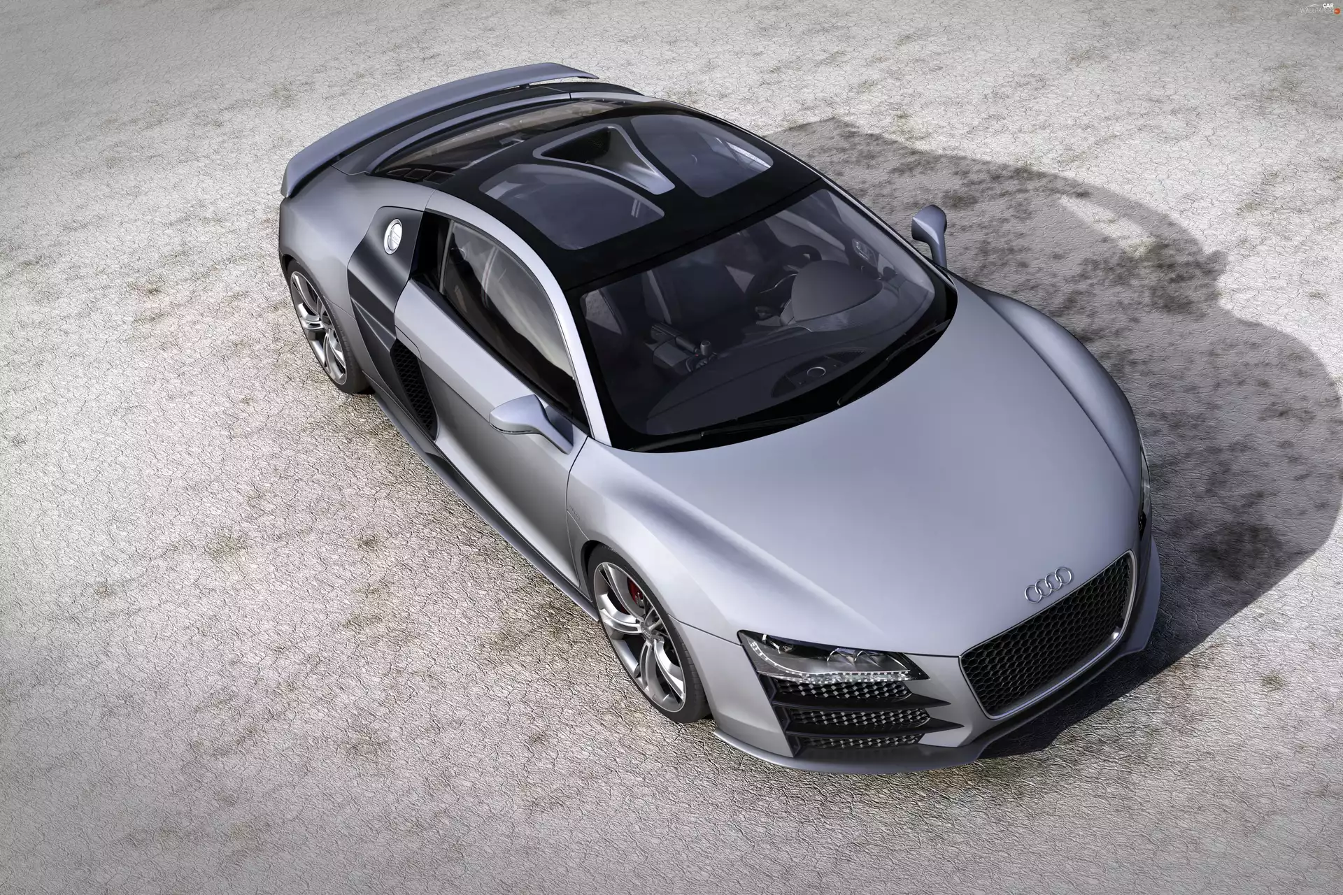 the roof, Audi R8, glass