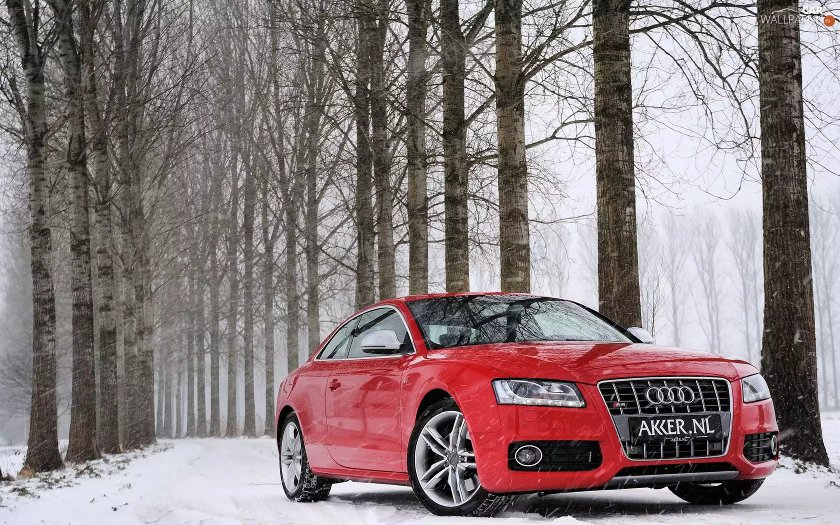 Way, snow, Audi S5, forest, Red