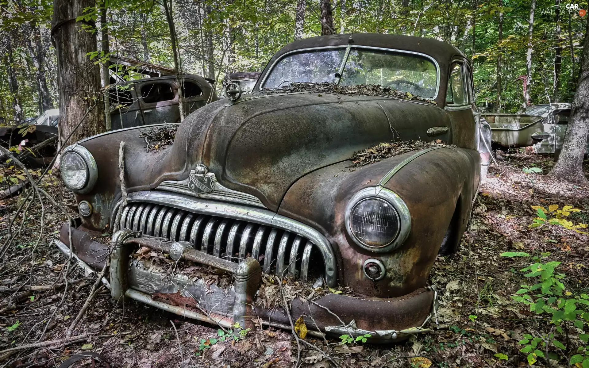 Buick, scrap-metal, Old car