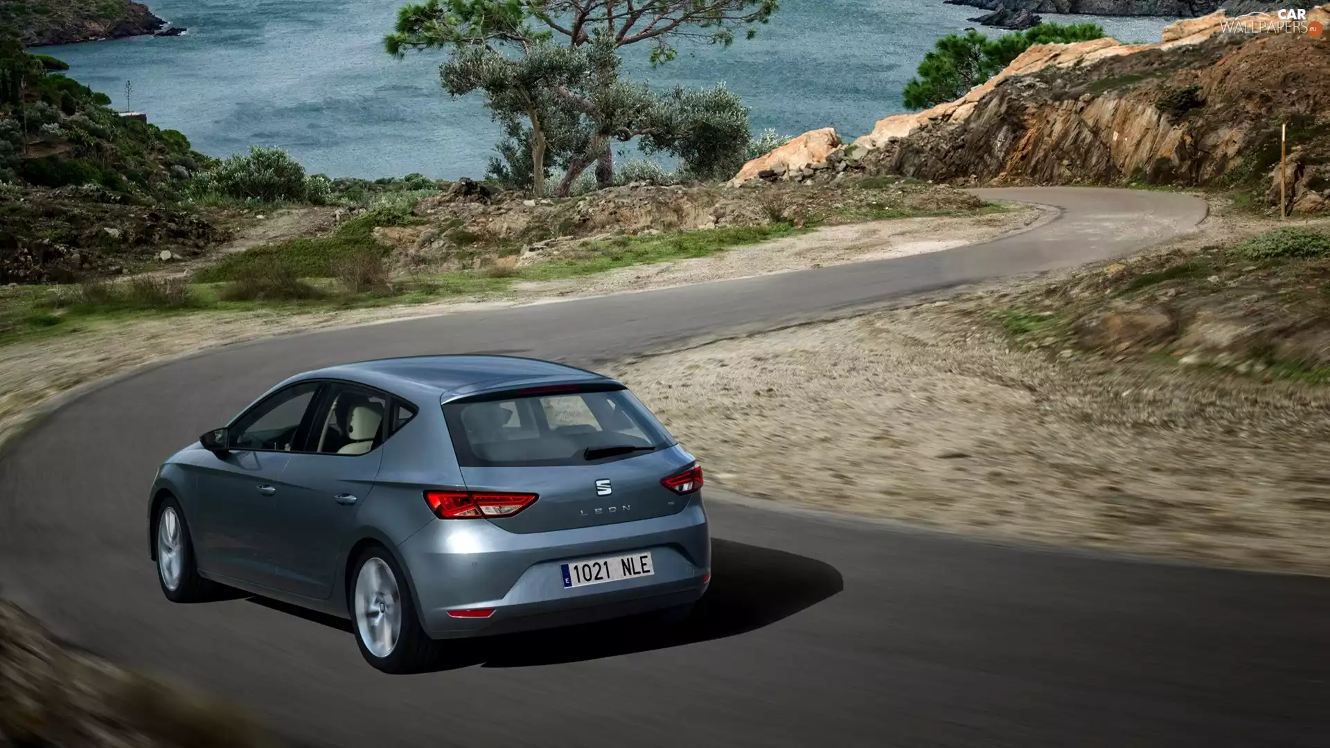Seat Leon, Way