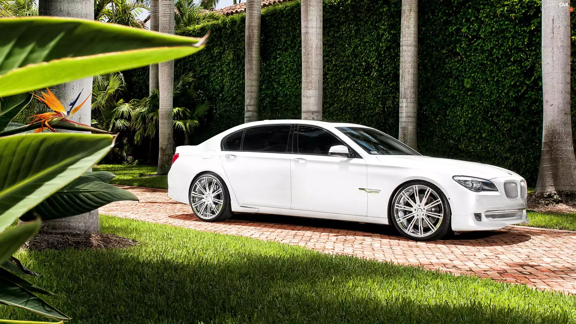 White, Series 7, green, BMW