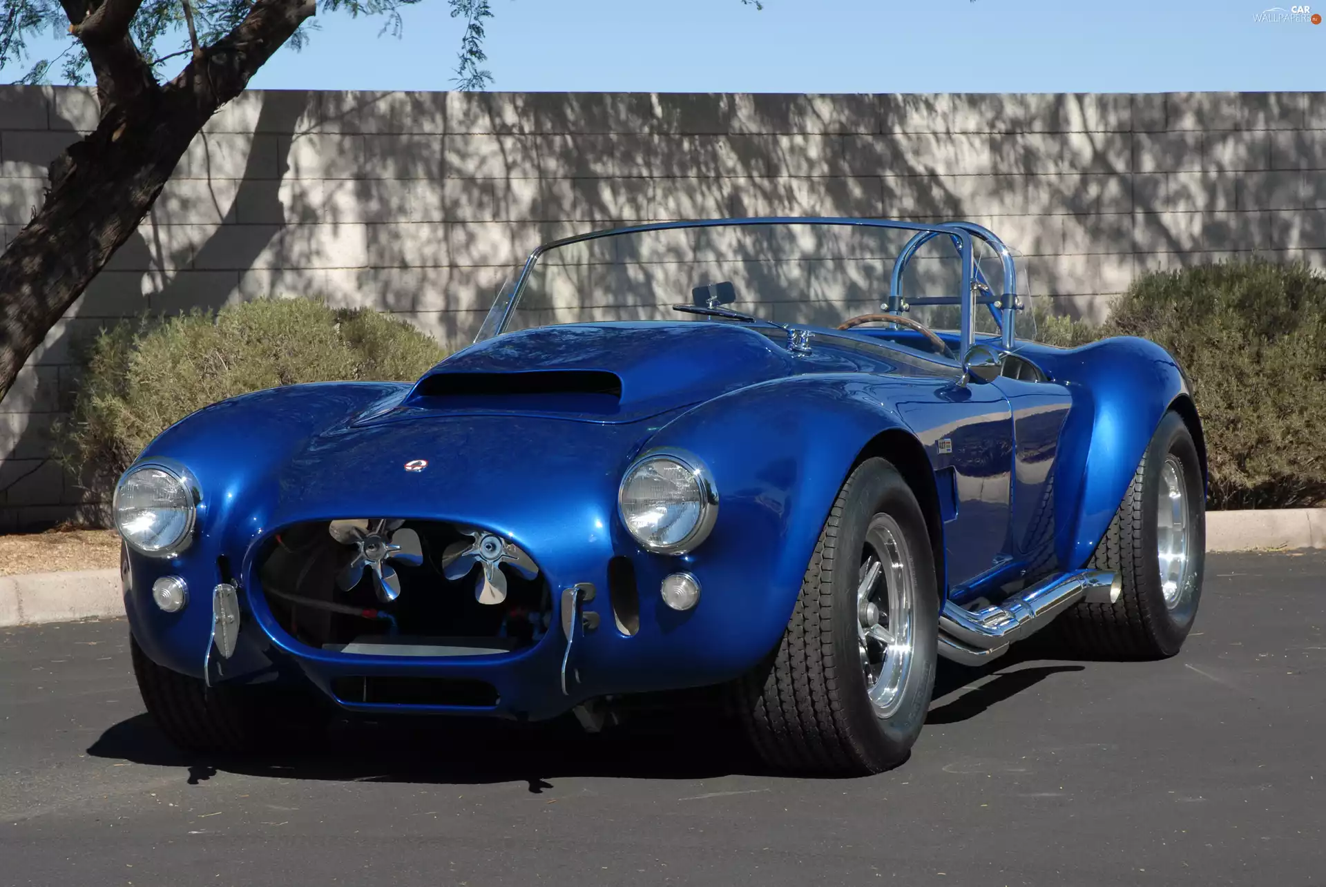 Shelby Cobra, 1965