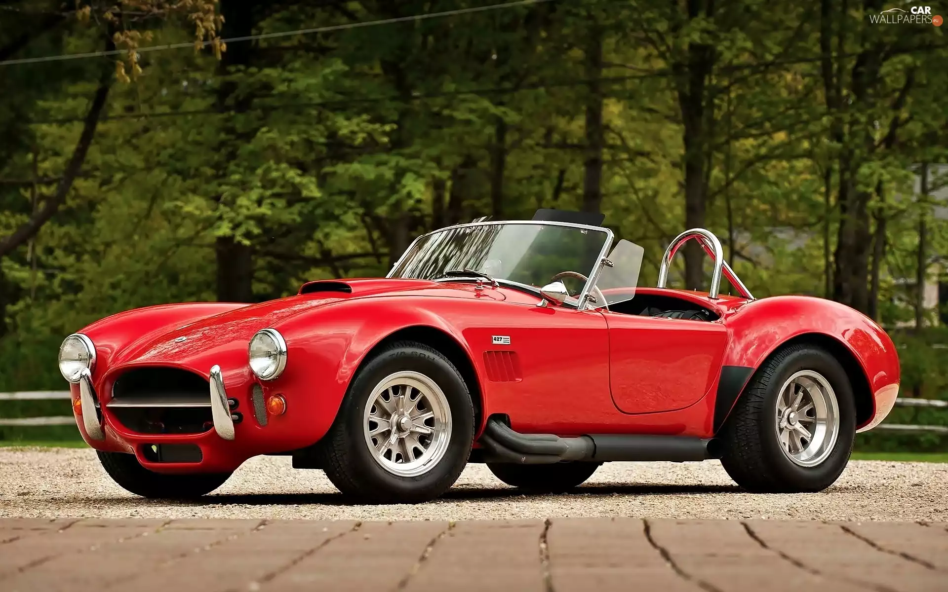 Red, Shelby, AC Cobra, Ford