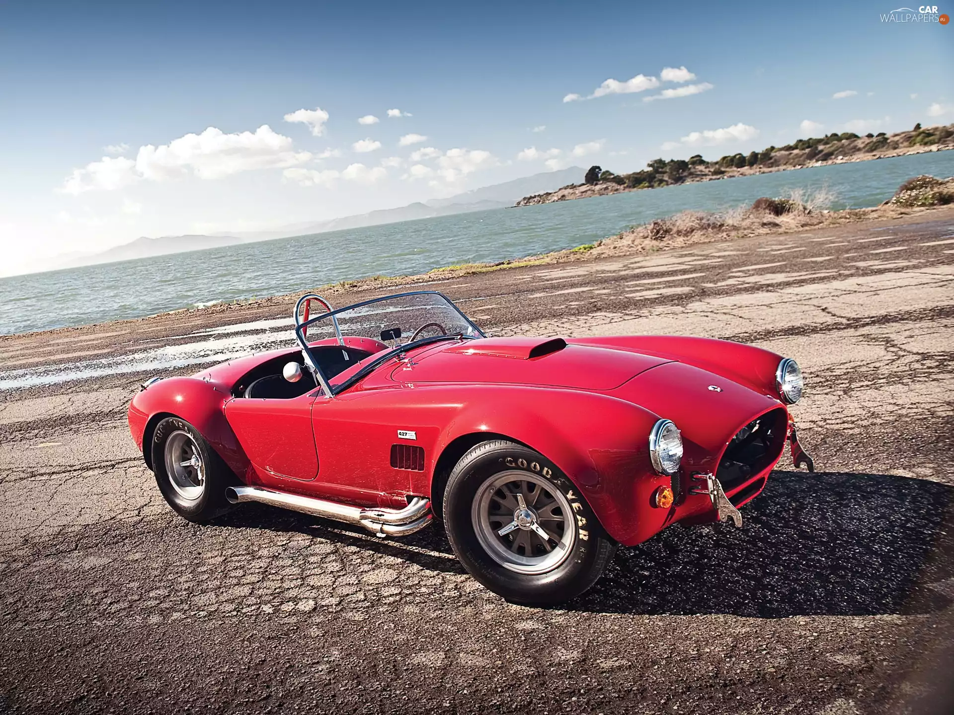 antique, Cobra, 1966, Shelby