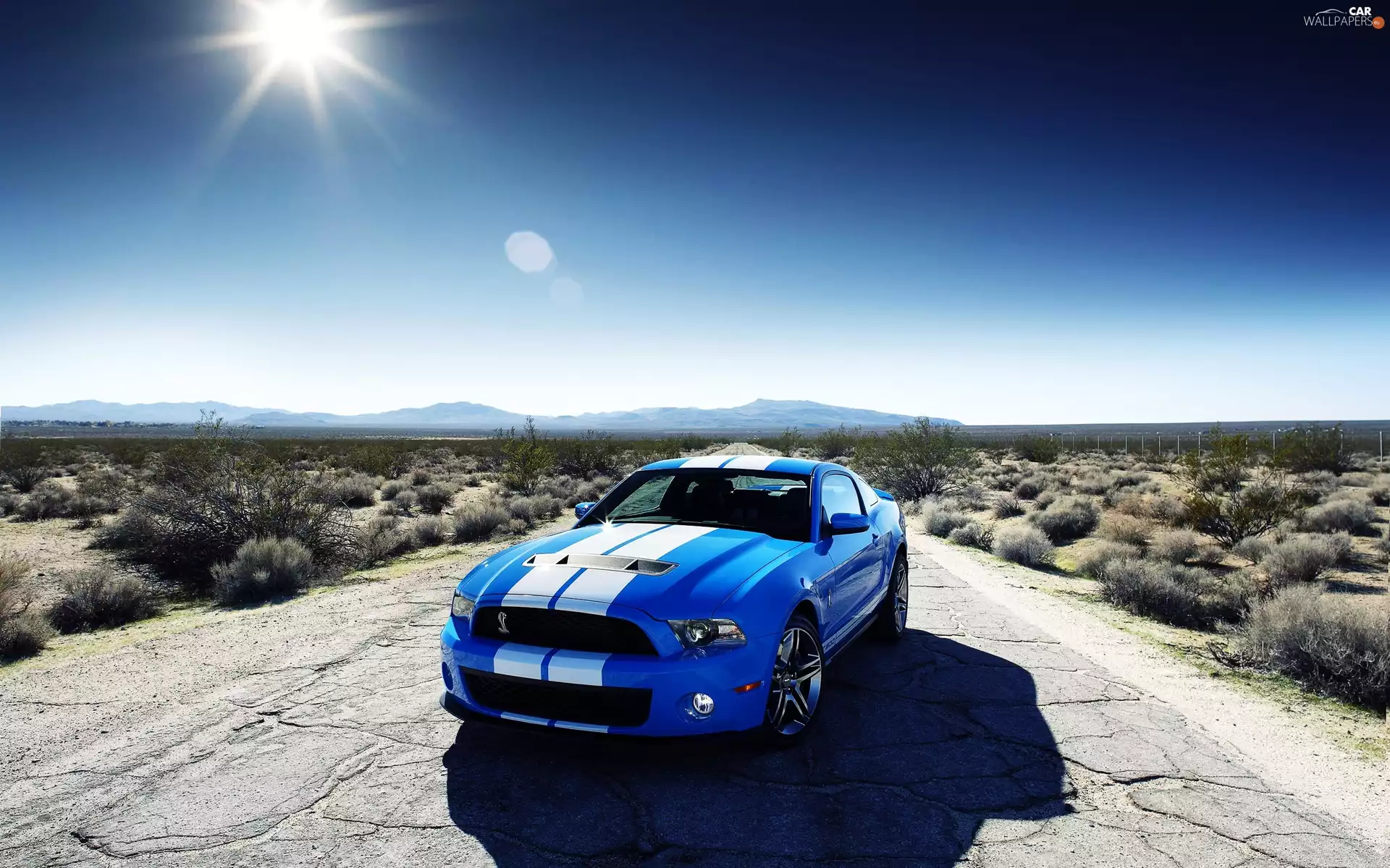 Desert, Ford Mustang, Shelby