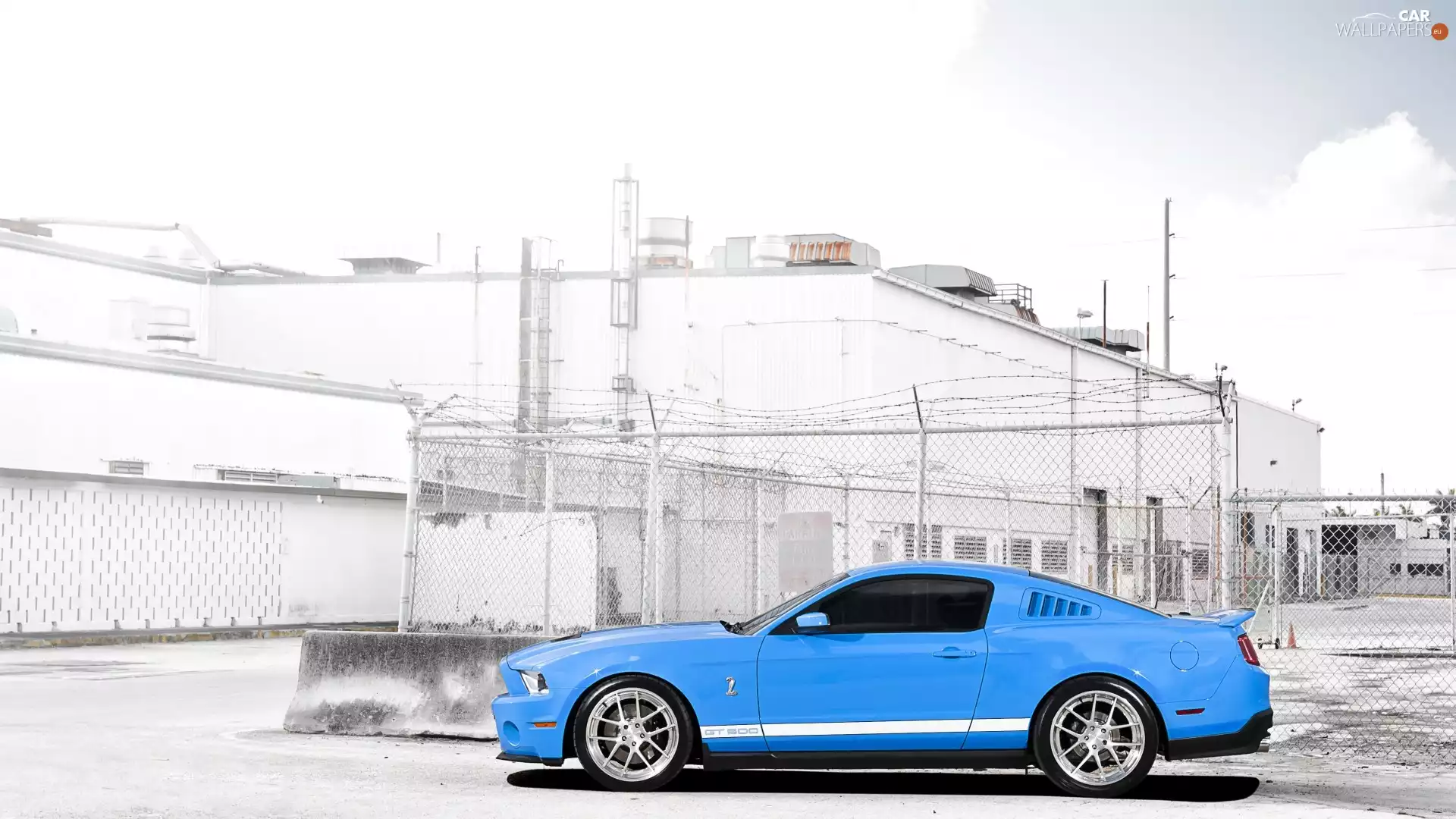 blue, Shelby, GT 500, Mustang