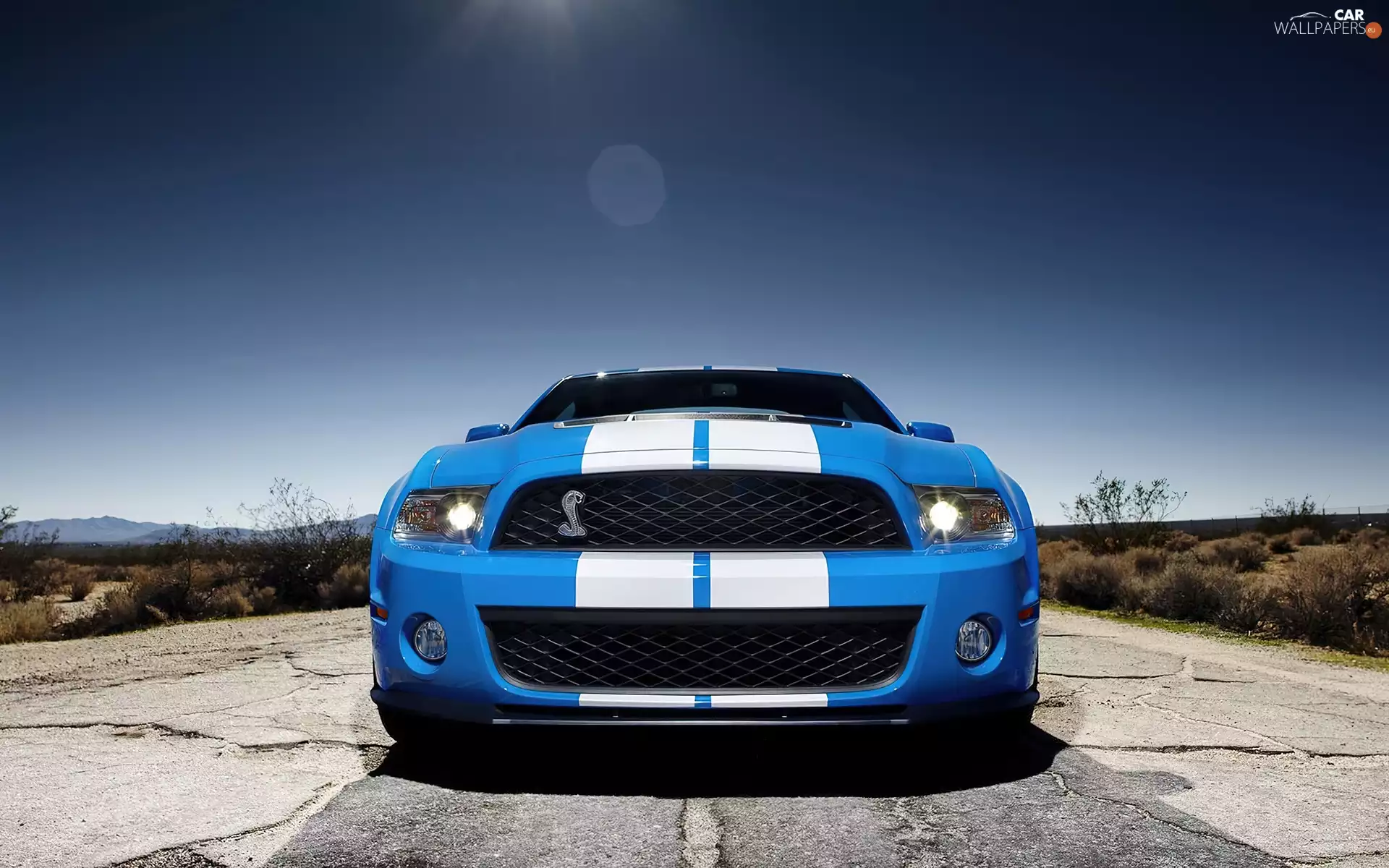 Shelby, Ford Mustang