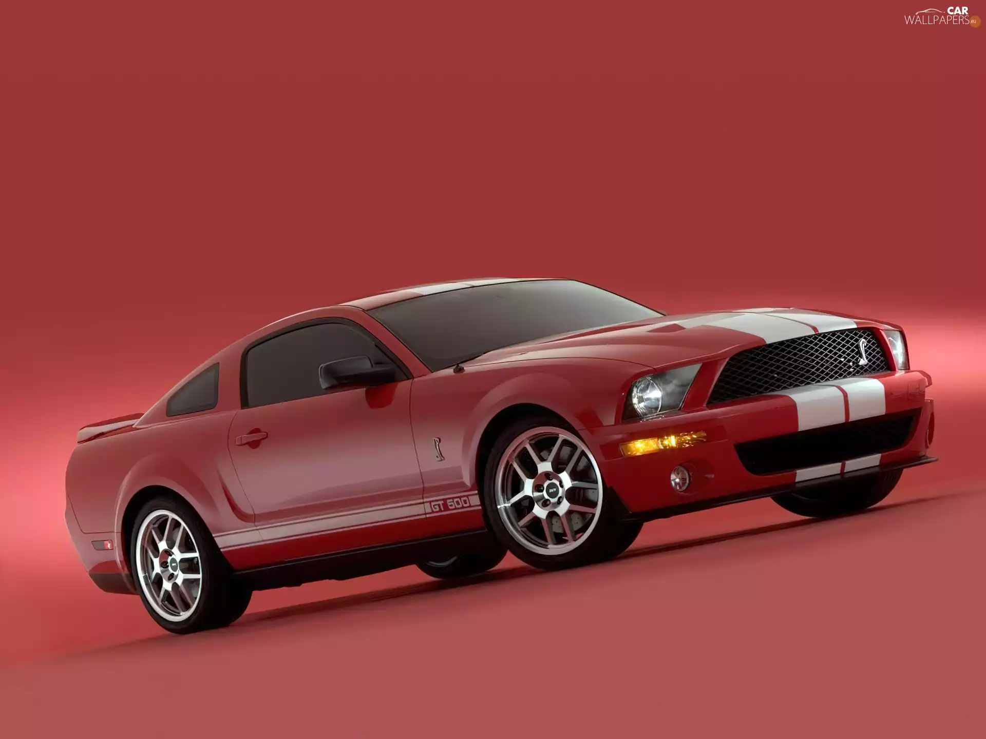 Shelby, Ford Mustang