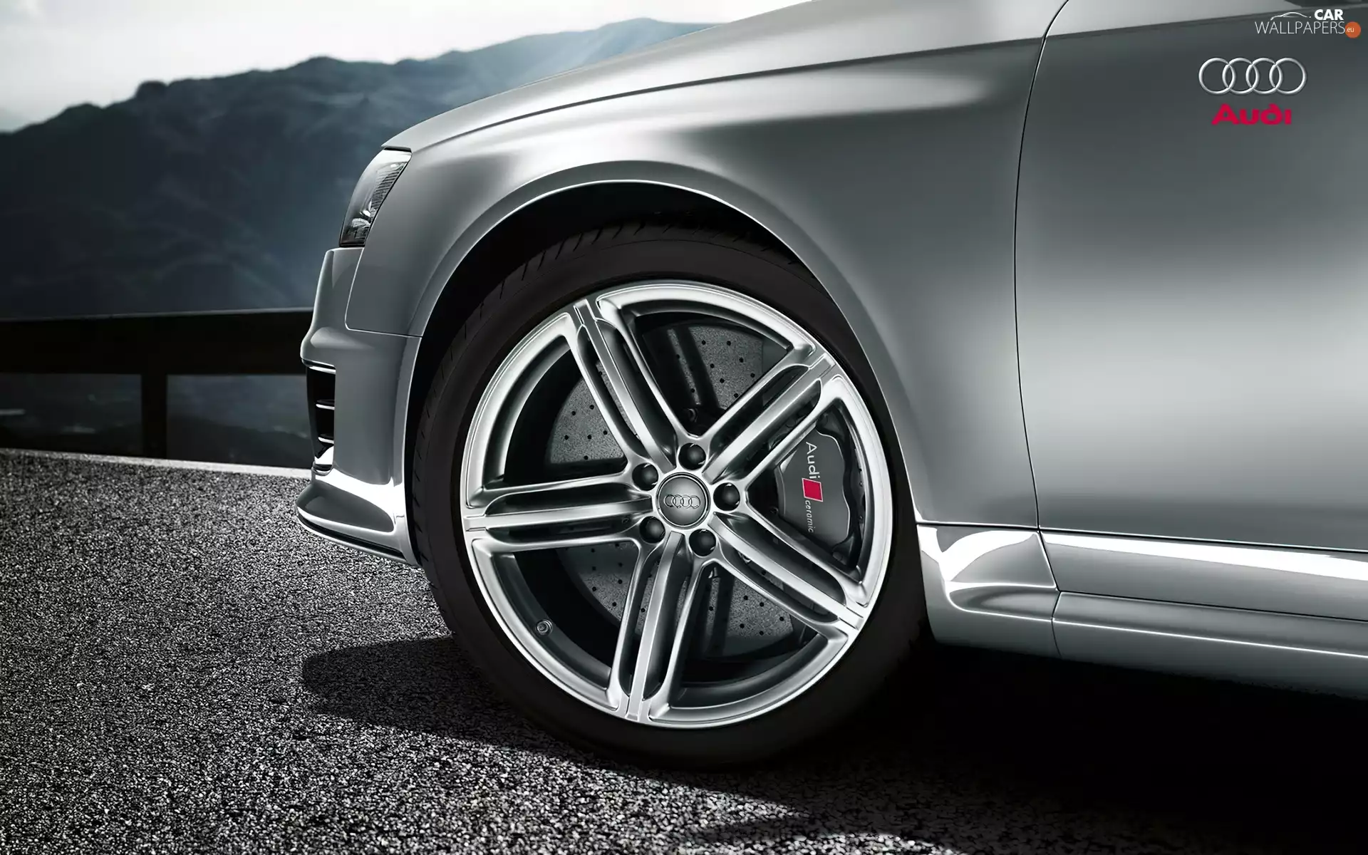 Brake, Audi RS, Shield