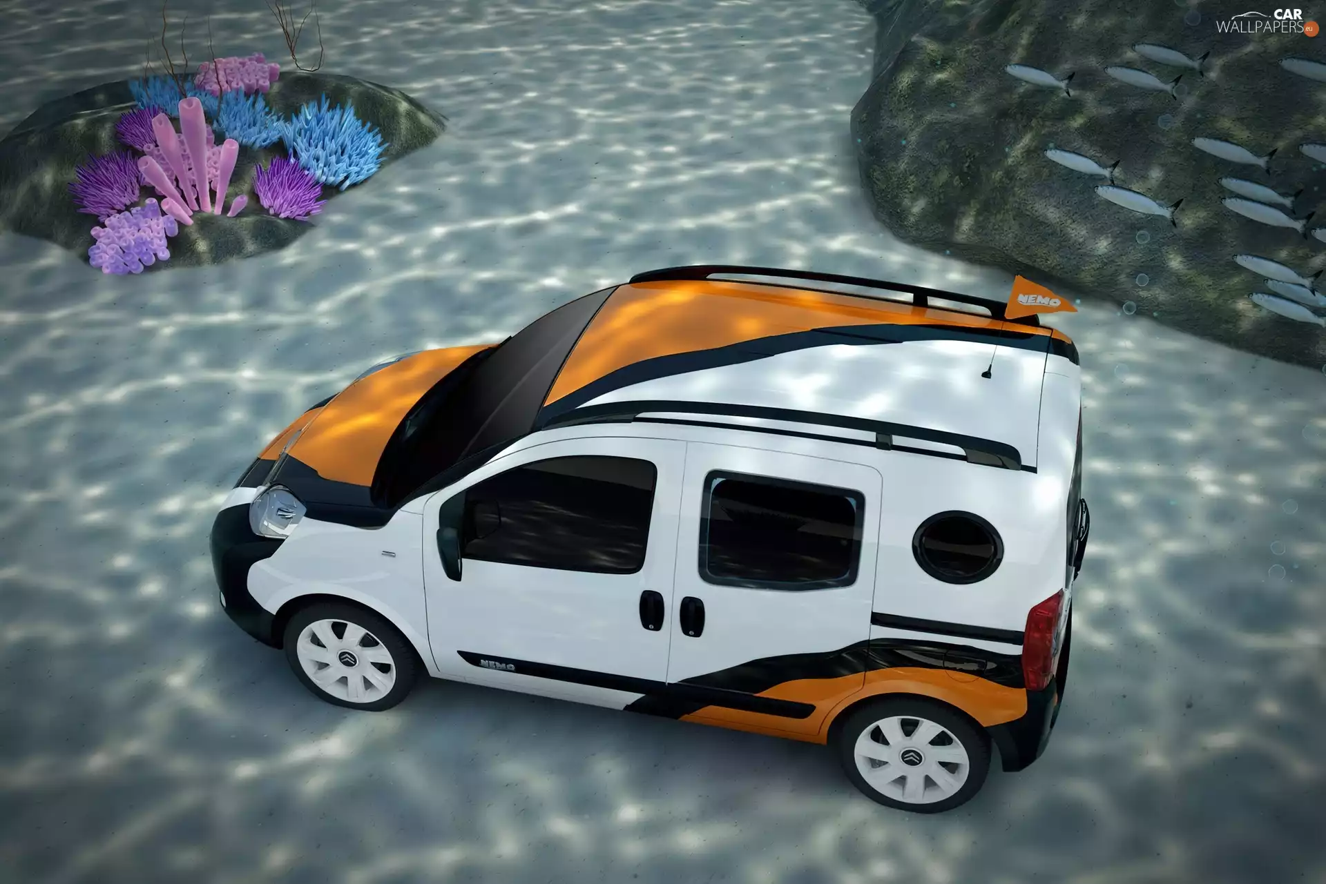 fish, Citroen Nemo, shoal