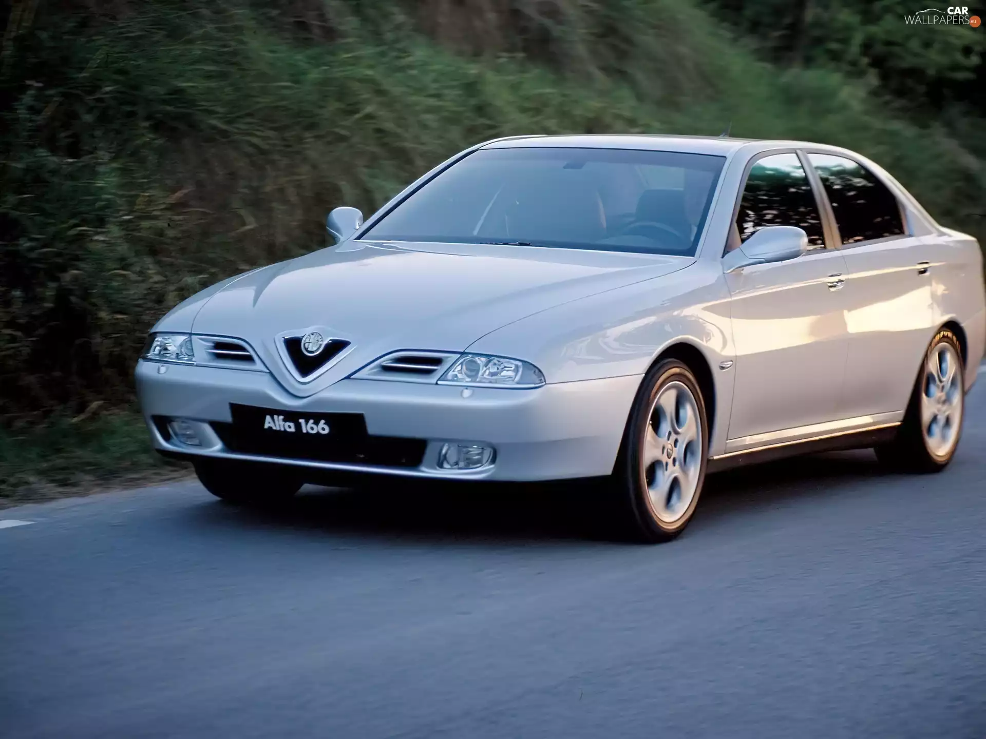 Toyota Silver, Alfa Romeo 166