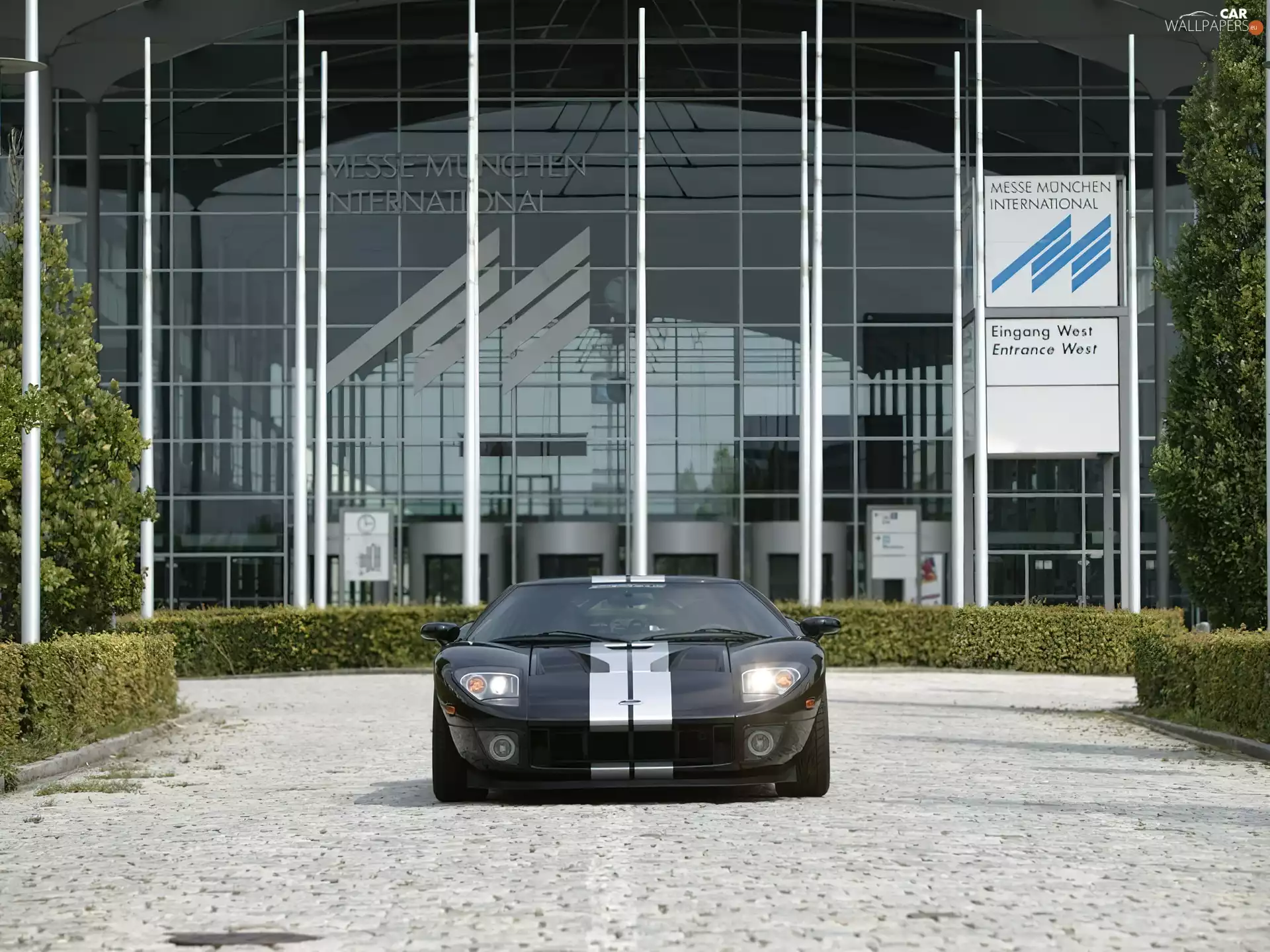 Black, Silver, Belts, Ford GT