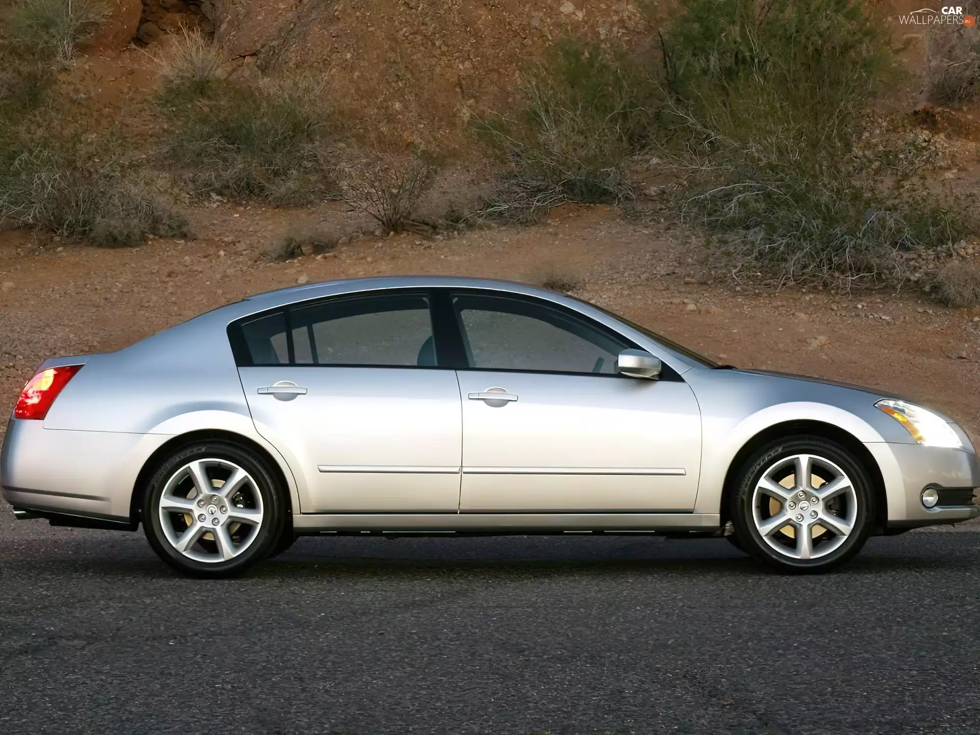 silver, Nissan Maxima