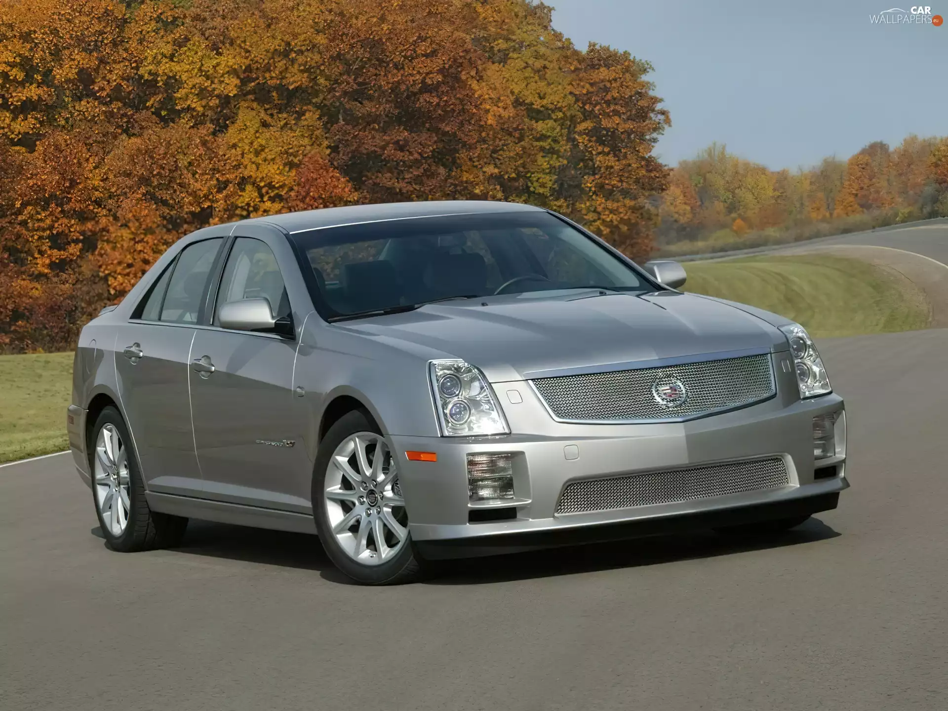 silver, Cadillac STS