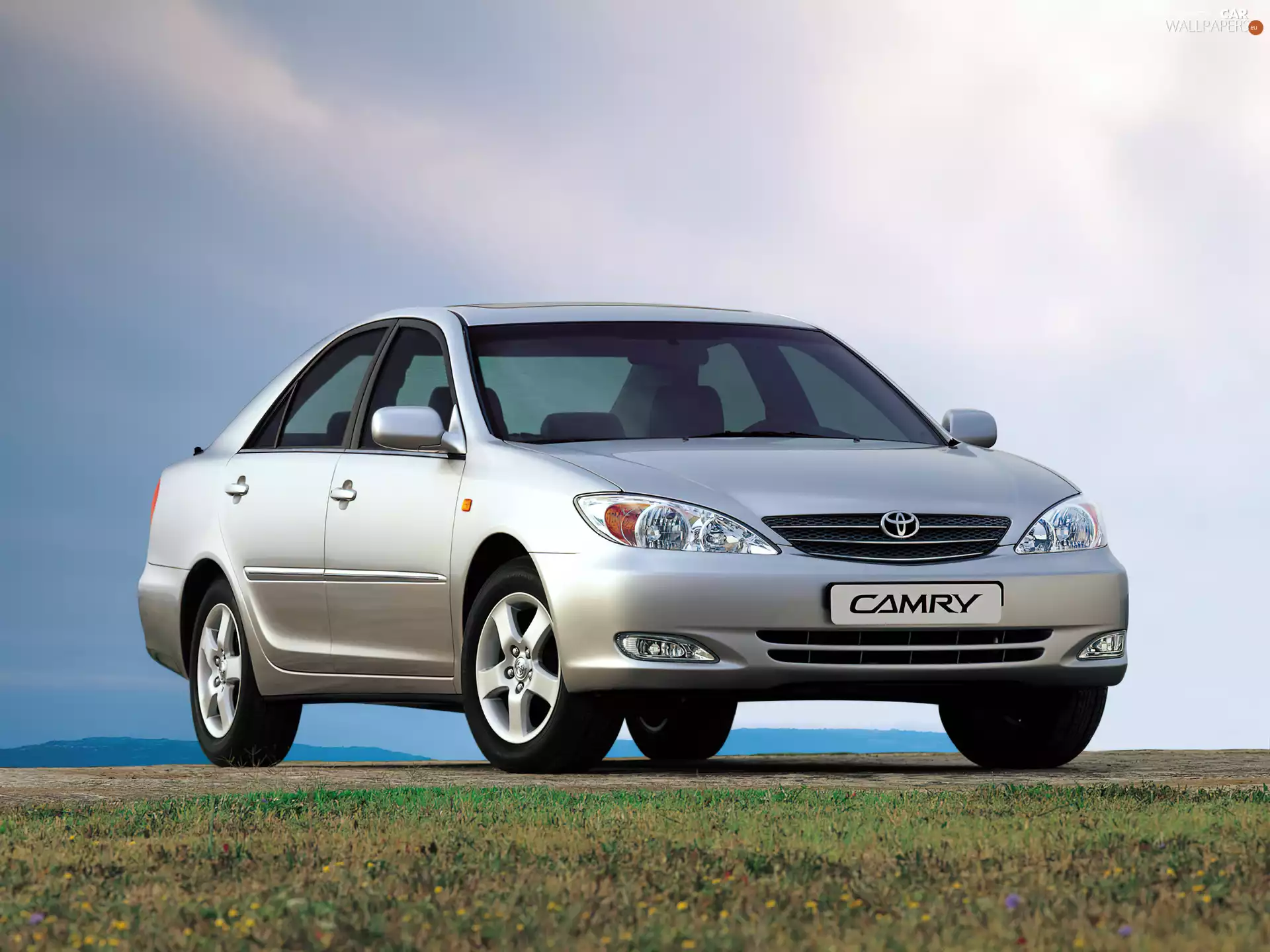 Toyota Camry, Toyota Silver