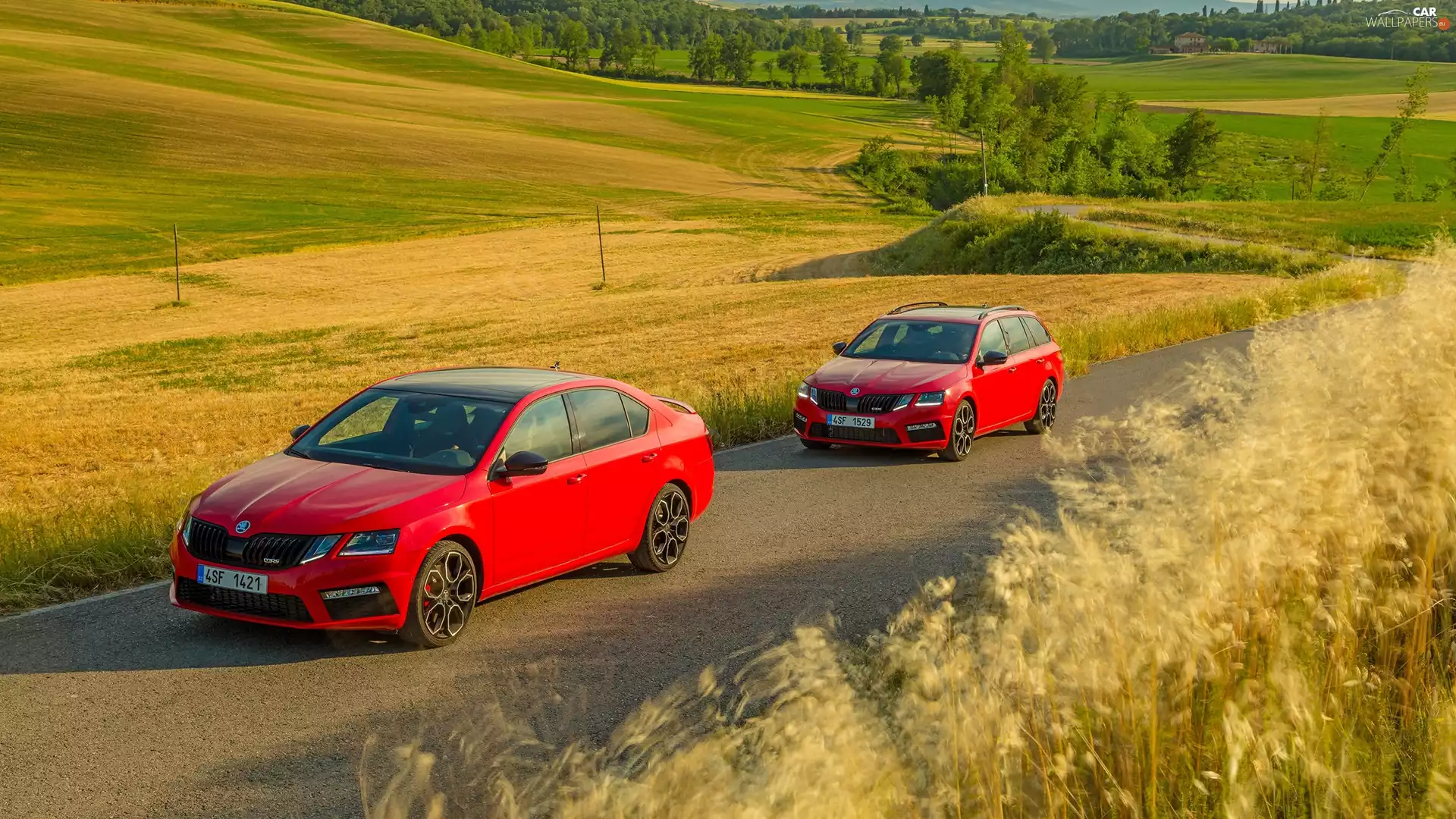 Red, Skoda Octavia III Kombi, Way, Two cars, Skoda Octavia III RS, cars, field